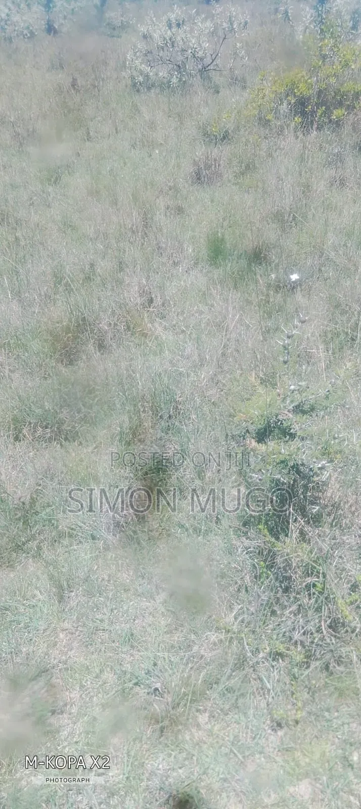 Olkalou Kaimbaga Prime Agricultural 50 Acres and 30 Acres