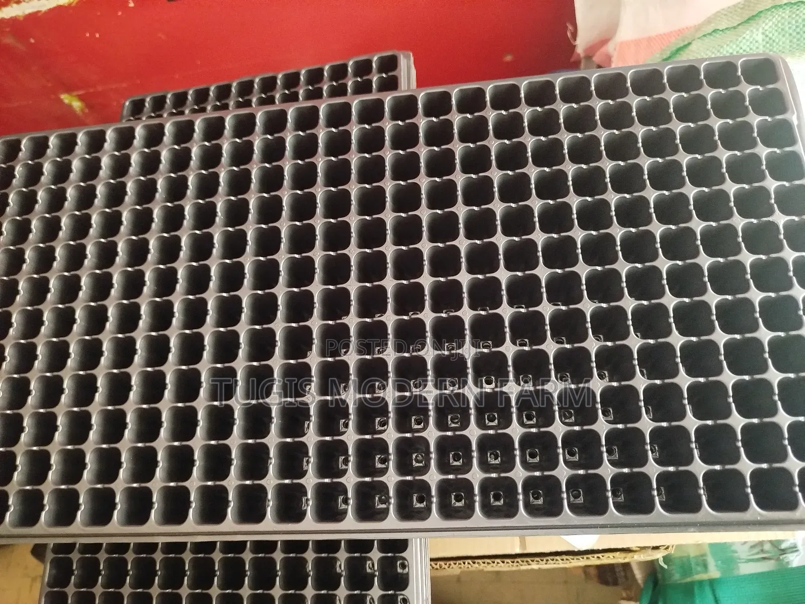 Plastic Seedling Planting Trays - From 62 Holes To 288 Holes