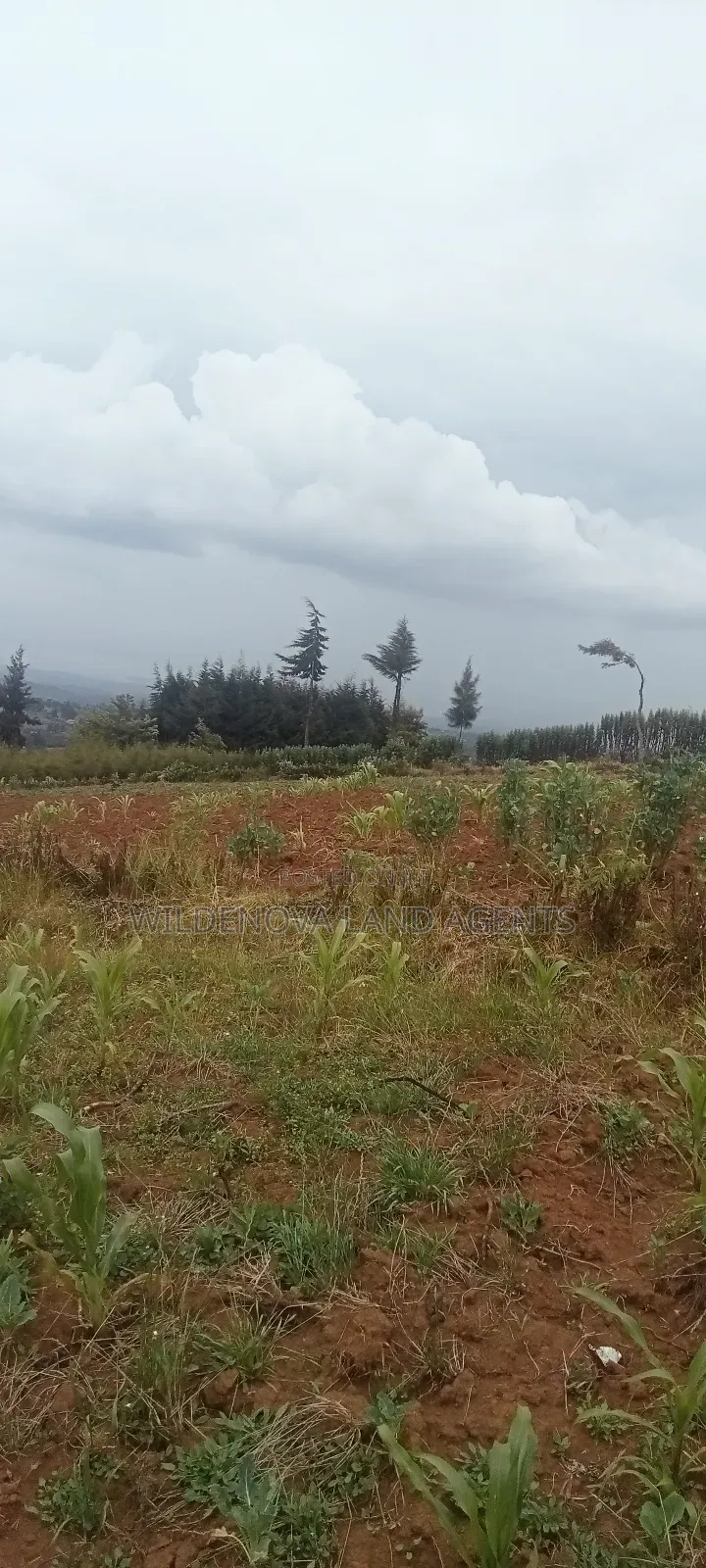 Land on Sale at Magumu Kinangop