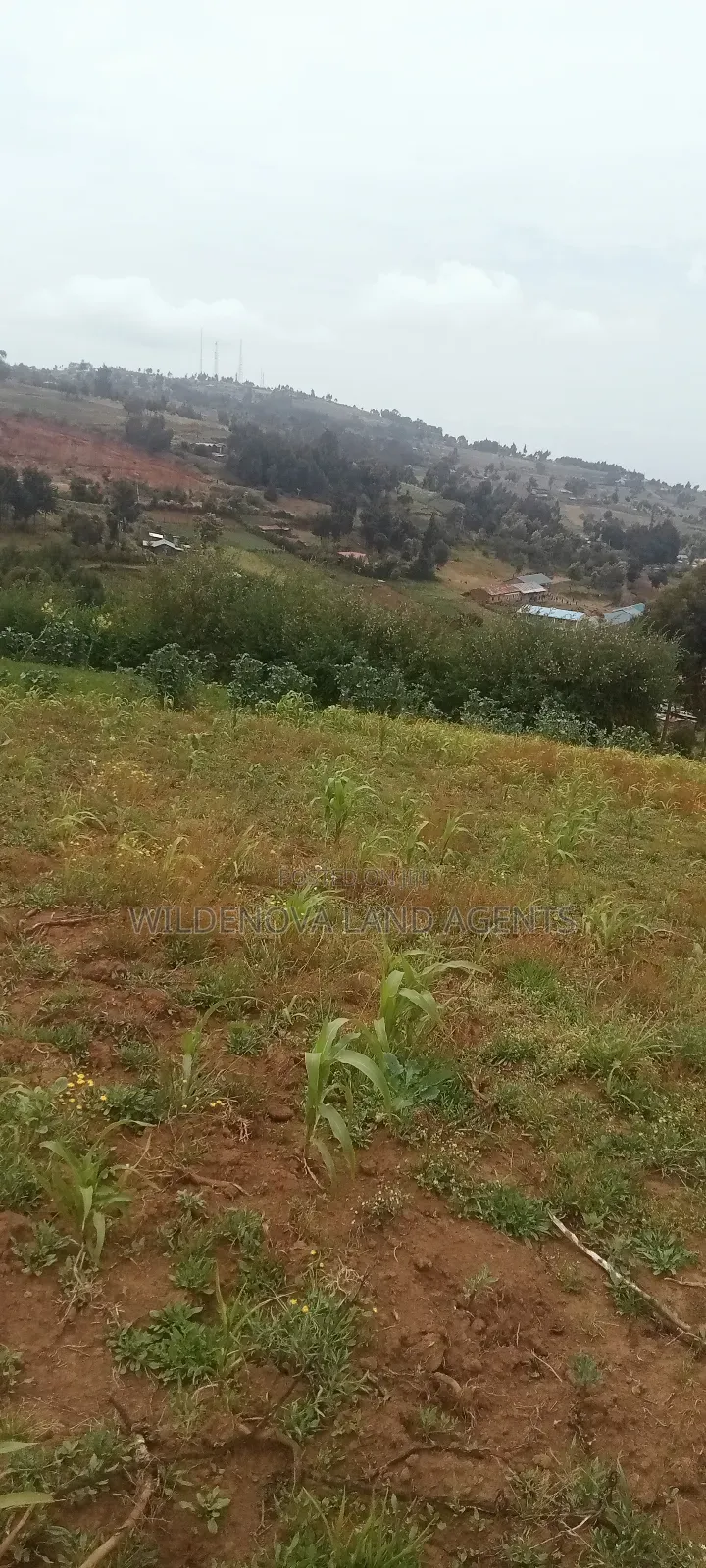 Land on Sale at Magumu Kinangop