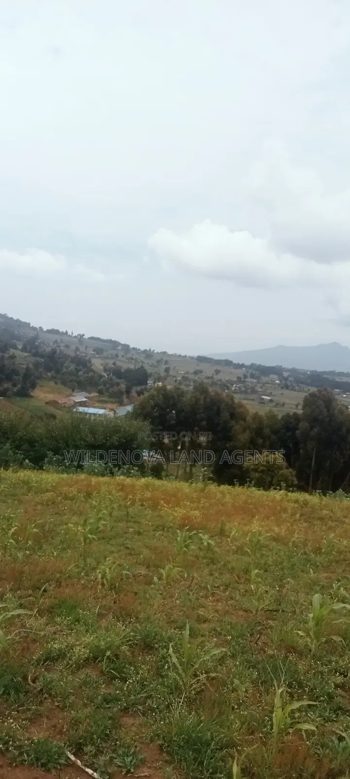 Land on Sale at Magumu Kinangop