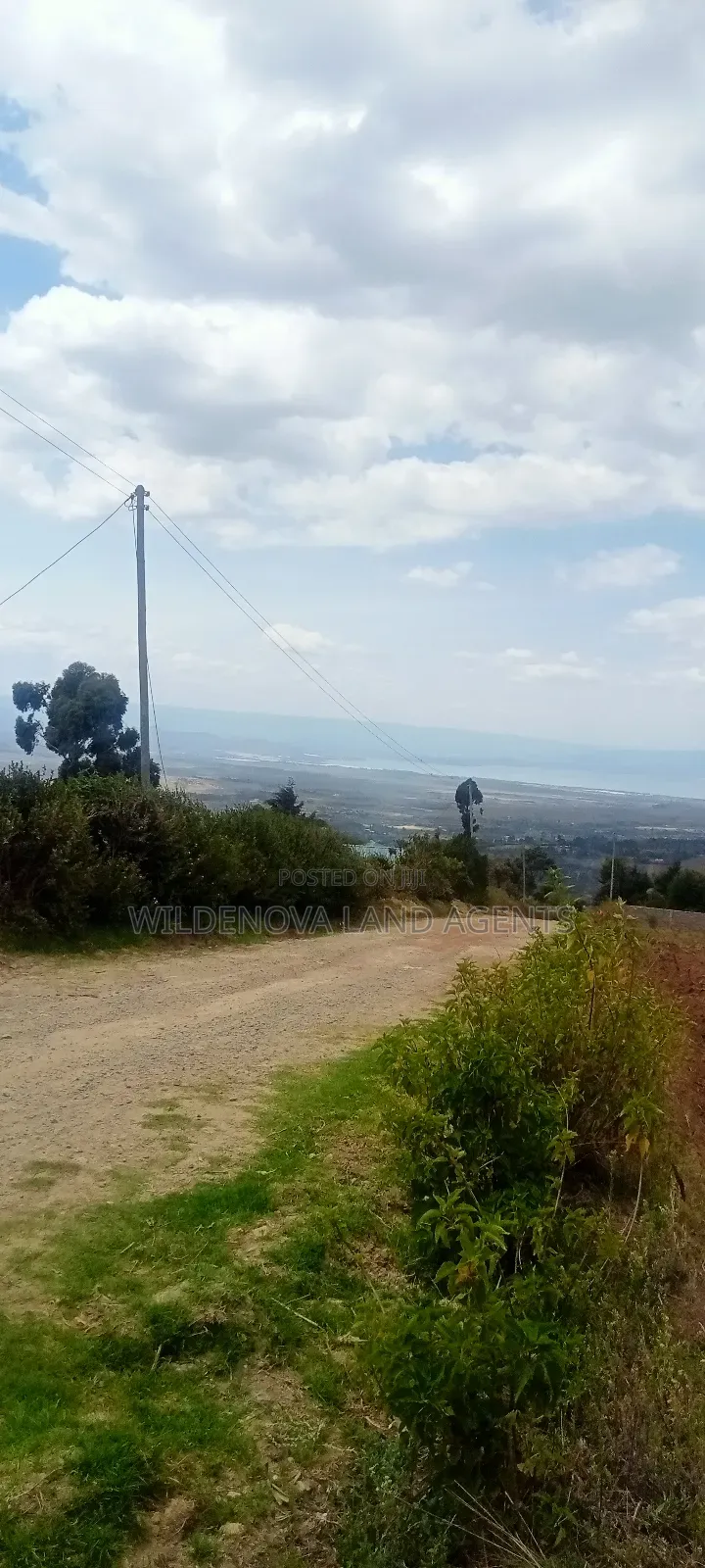 Land on Sale at Kahuho Naivasha Near Flyover