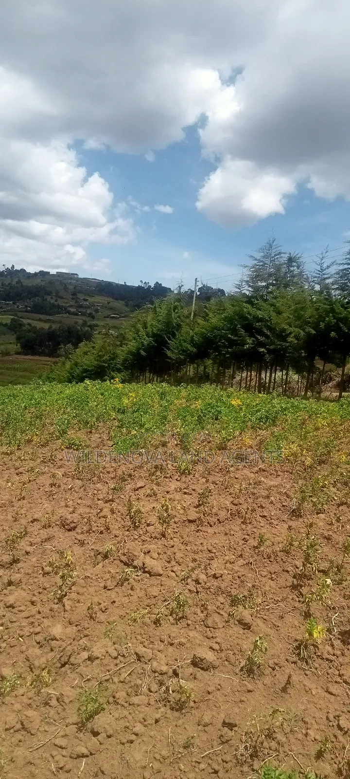 Land on Sale at Kahuho Naivasha Near Flyover