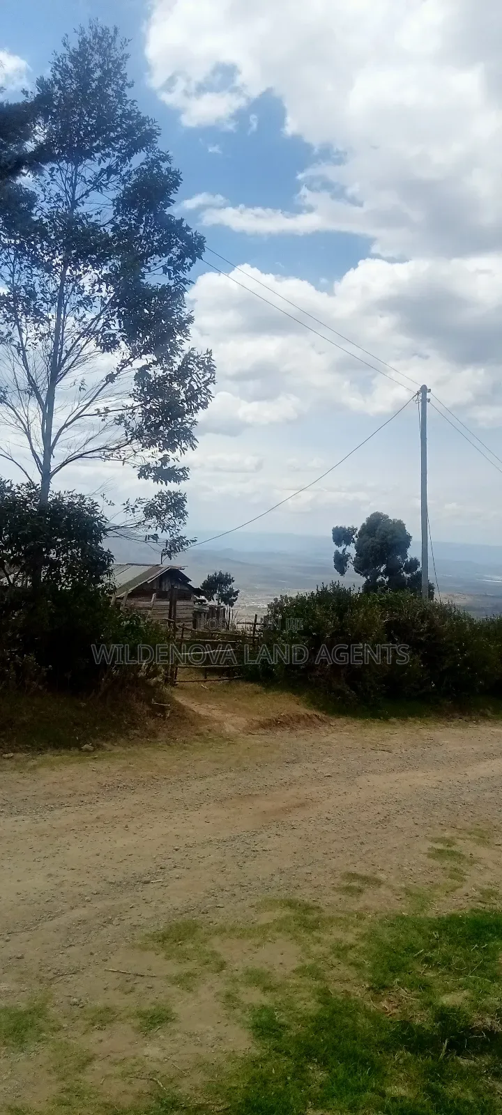 Land on Sale at Kahuho Naivasha Near Flyover