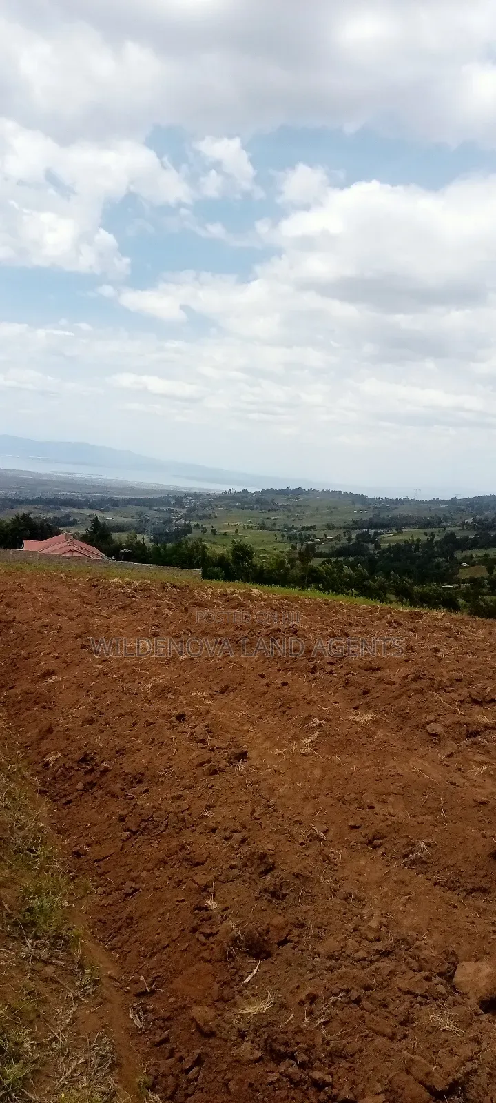 Land on Sale at Kahuho Naivasha Near Flyover