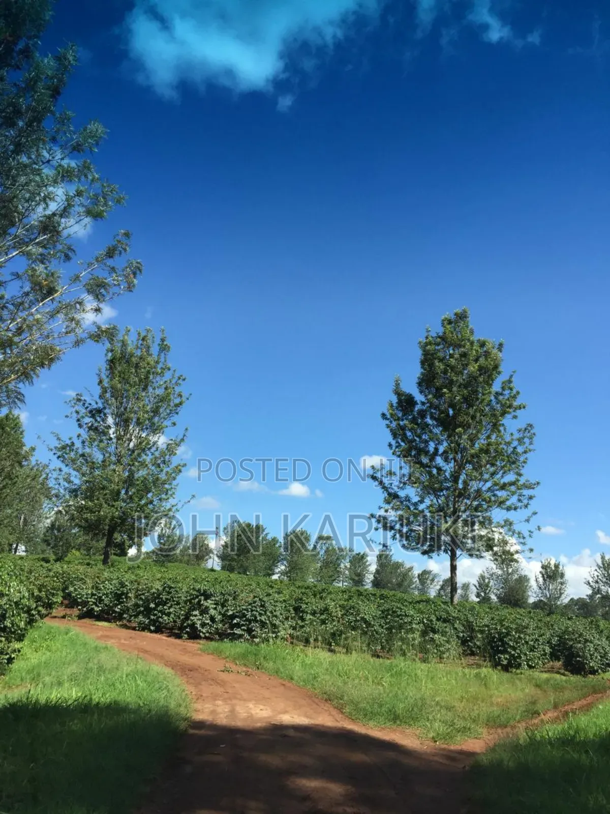 37 Acres Of Commercial Land In Thika Touching Superhighway.