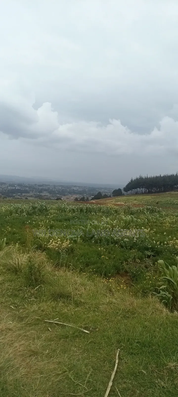Land On Sale At Kinangop Magumu