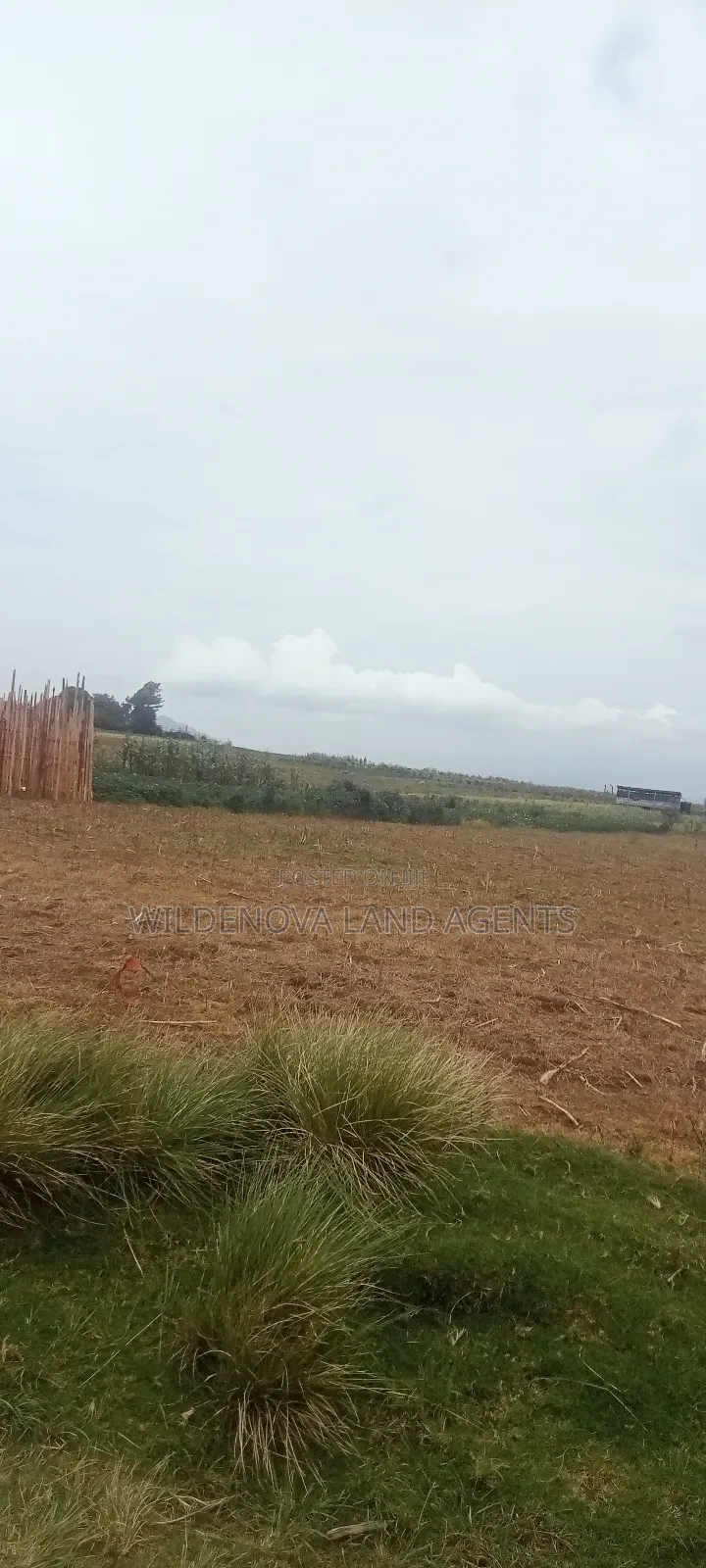 Land On Sale At Kinangop Magumu