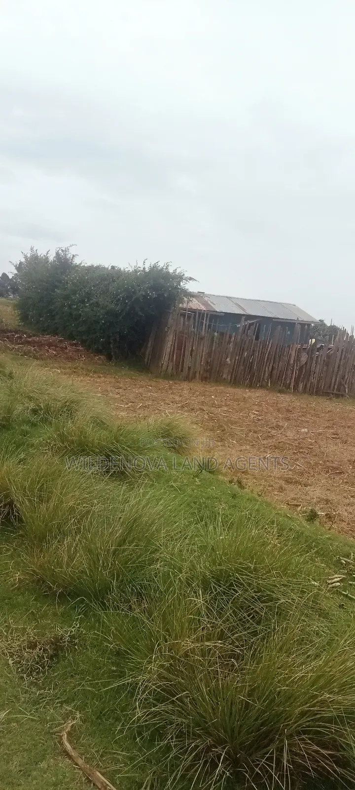 Land On Sale At Kinangop Magumu