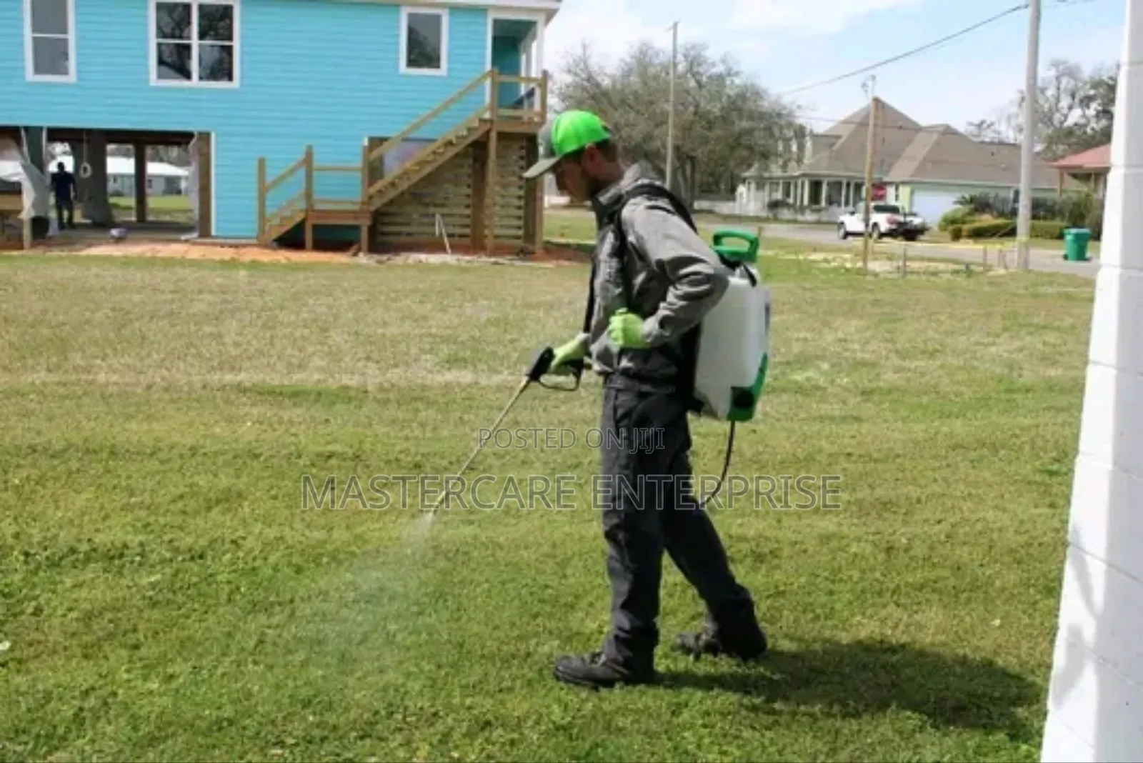 Safari Ants or Sugar Ants Extermination