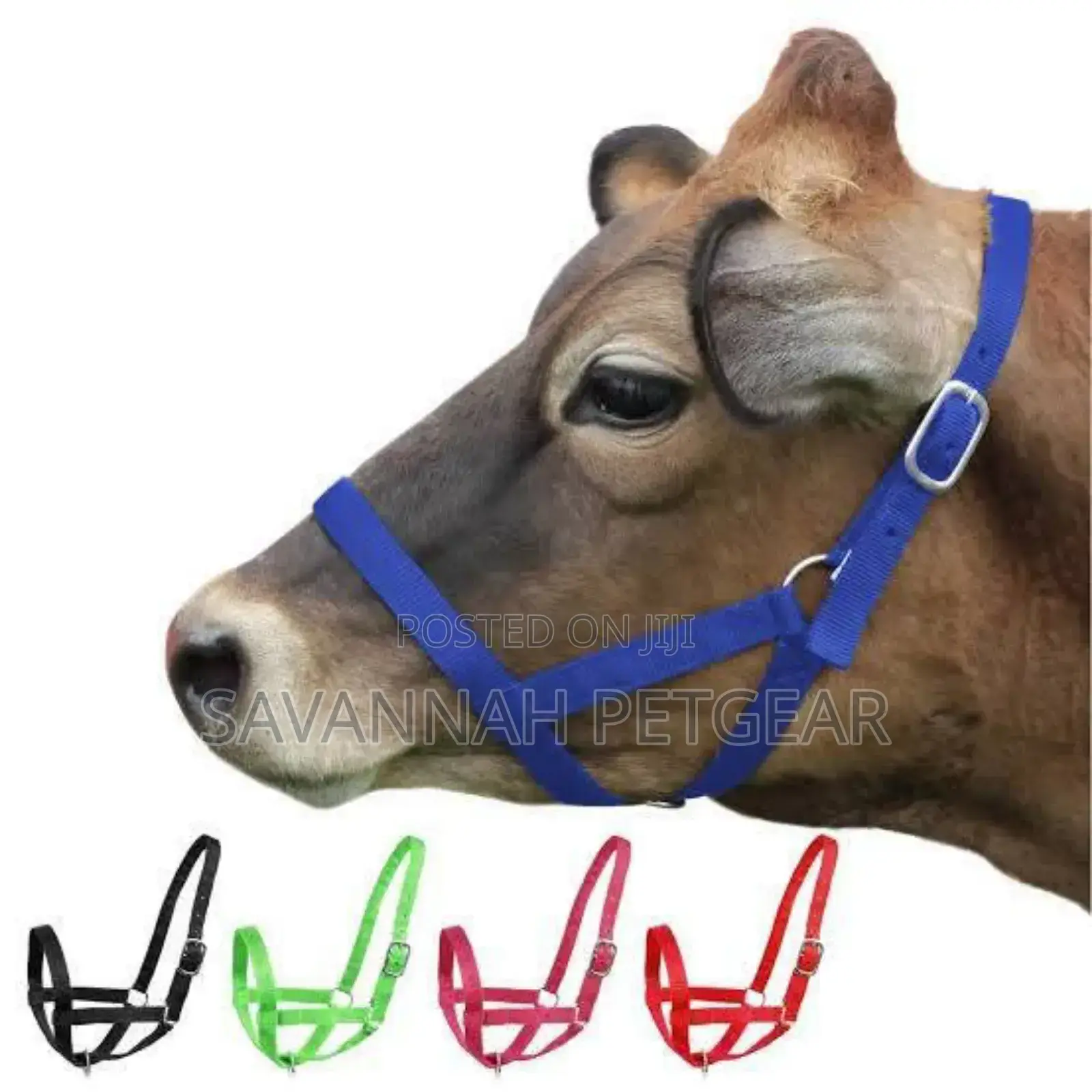 Original Adjustable Nylon Livestock Cattle Halters Available