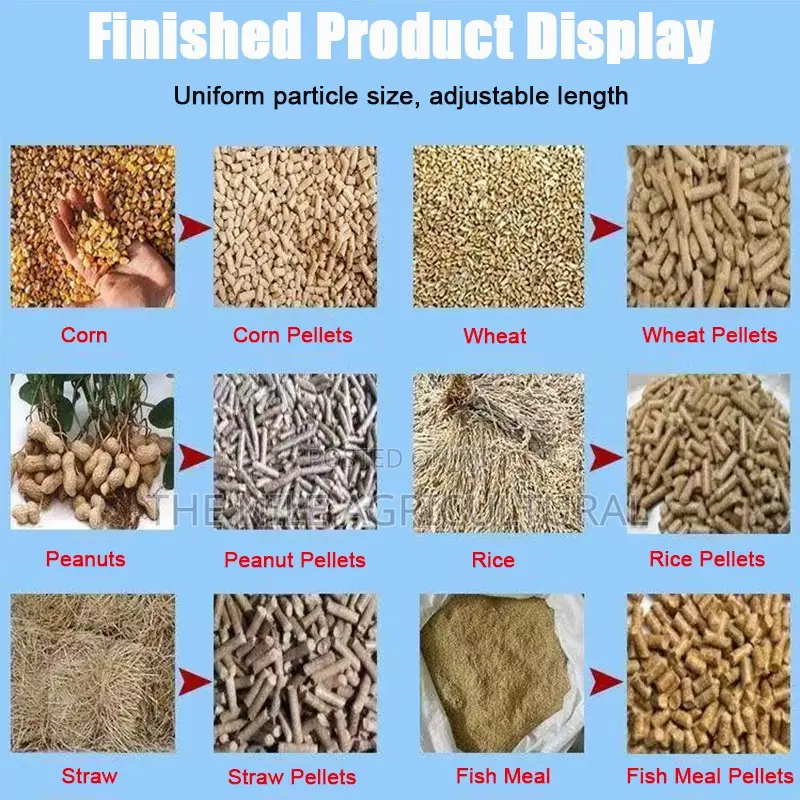 Factory Direct Feed Pellet Machine Best Quality for Africa