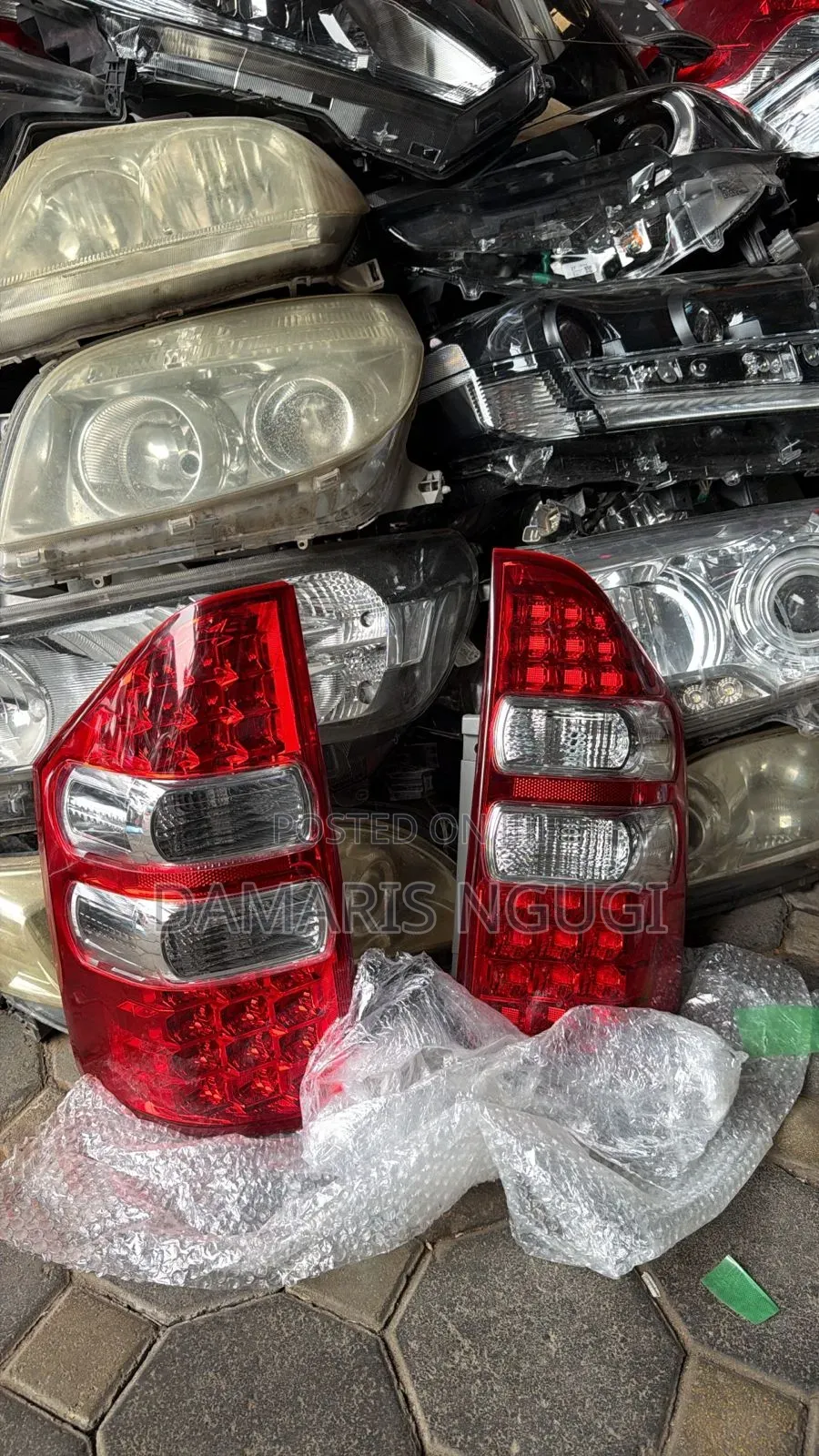 Noah Taillight 2012/2013 Red