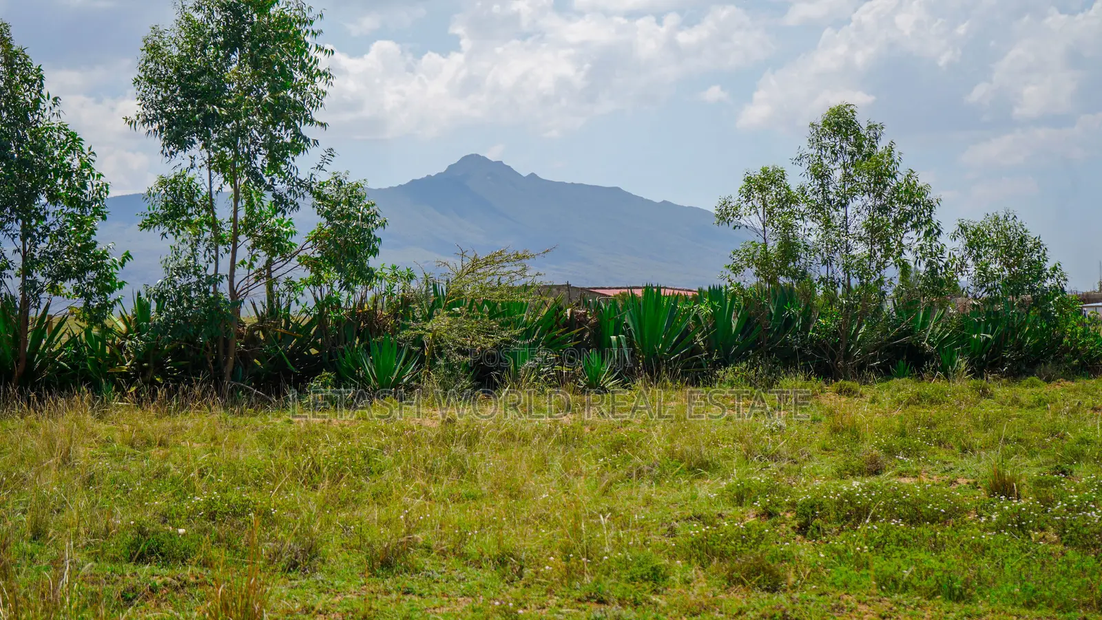 Selling for 650,000 Longonot View Phase 6.
