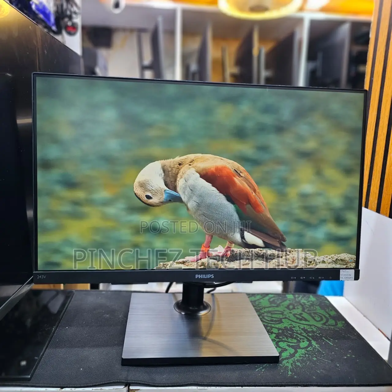 Philips 243v Frameless Monitor