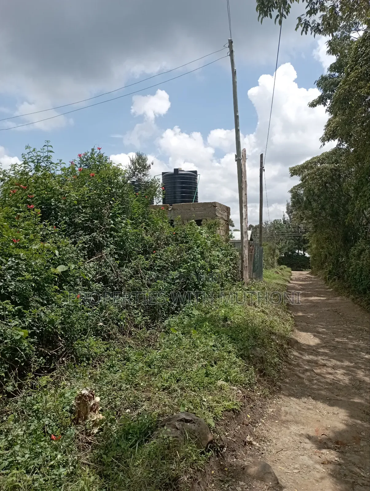 50×100 Plot for Sale in Olkeri, Ngong.