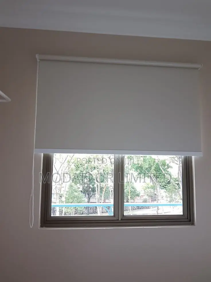 Modern Blackout Roller Blinds for Home, Office and Indoor Spaces