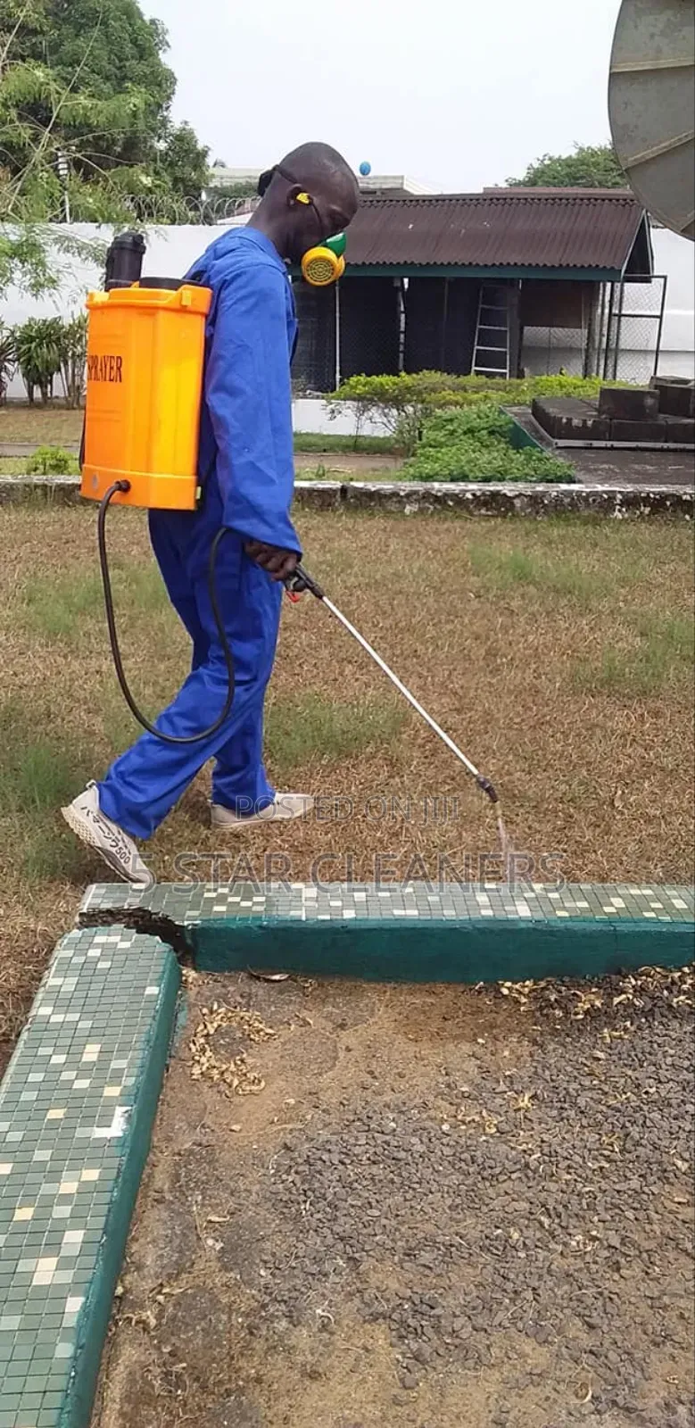 Cockroaches, Ants Bedbugs Fleas Fumigation Services