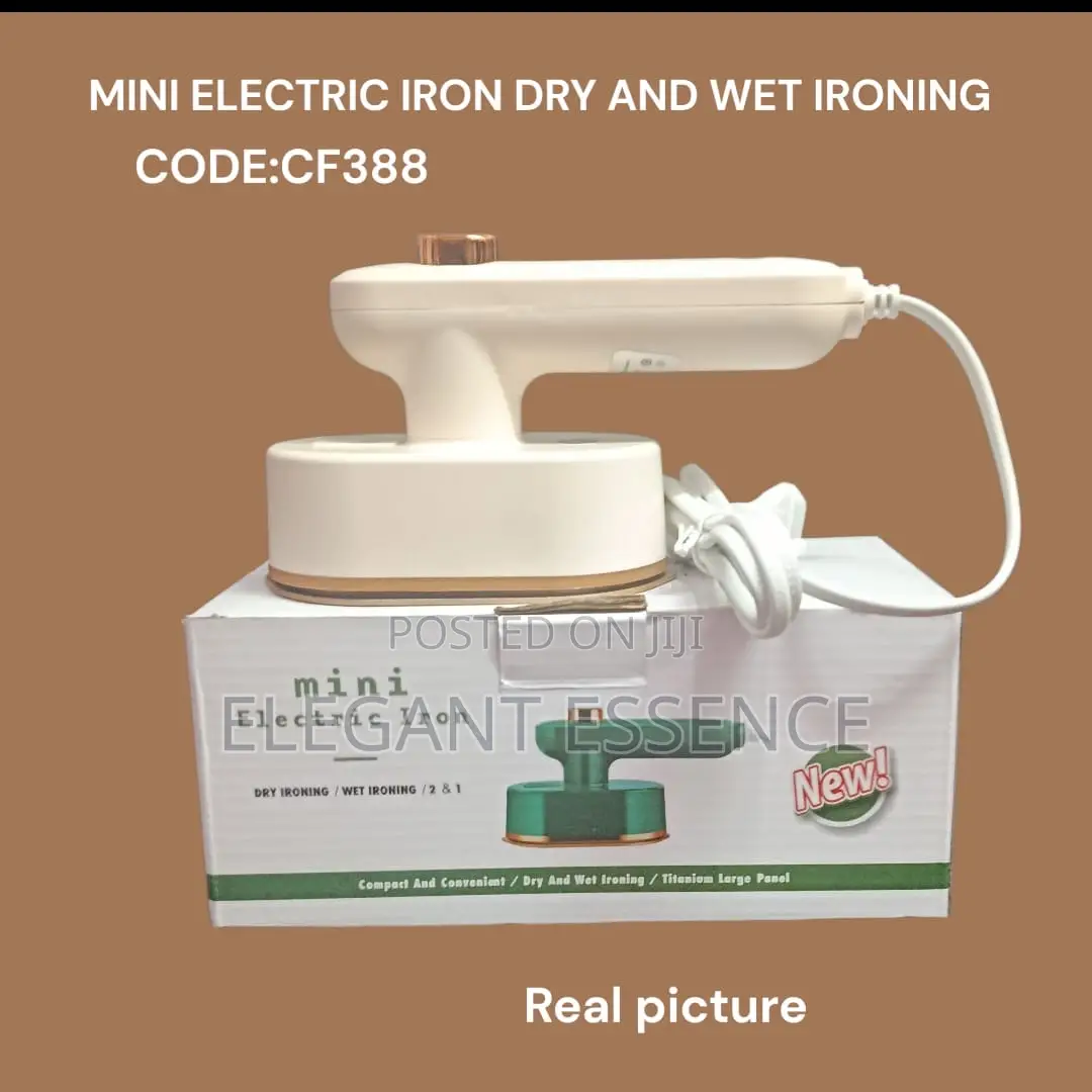 Mini Electric Iron For Both Wet And Dry