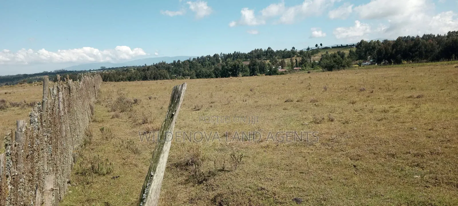 Land on Sale at Heni Kinangop