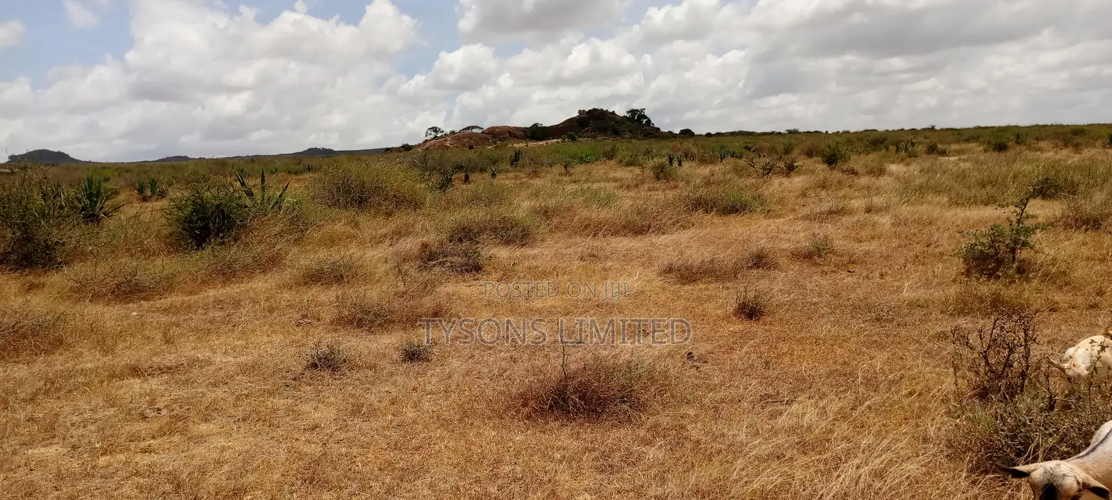 5 Acres for Sale in Kinanie