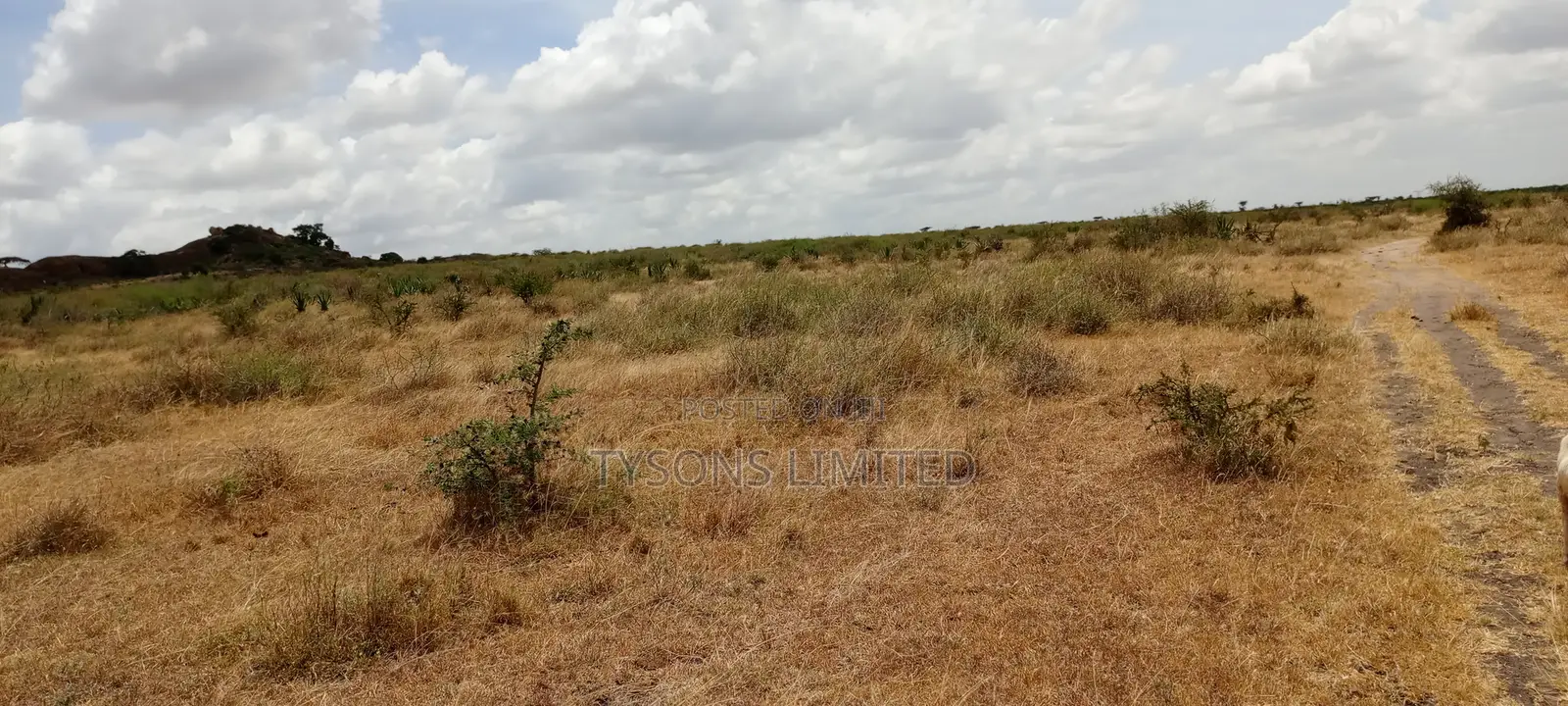 5 Acres for Sale in Kinanie