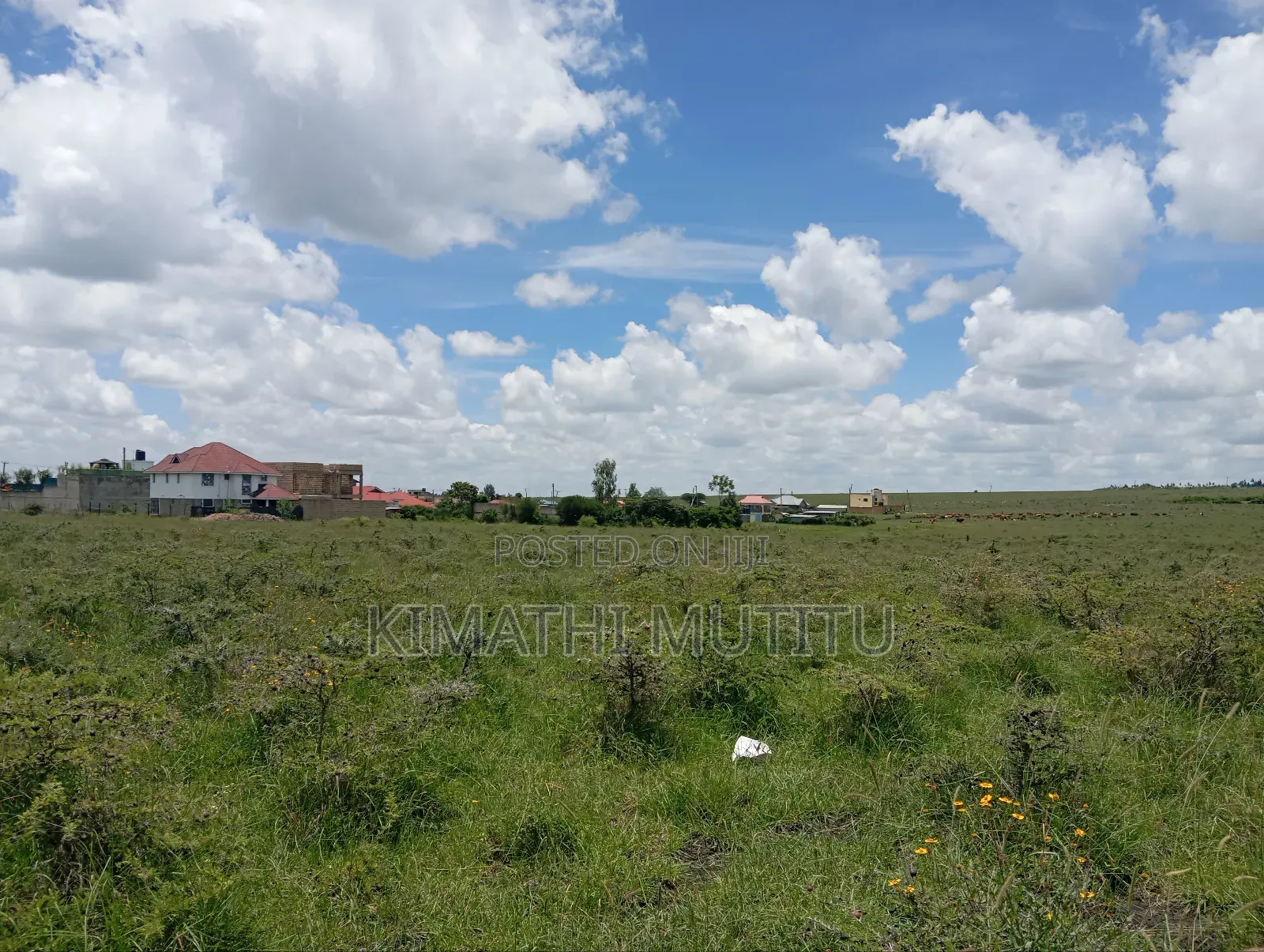 A Very Prime Residential 1/4 Acre Land