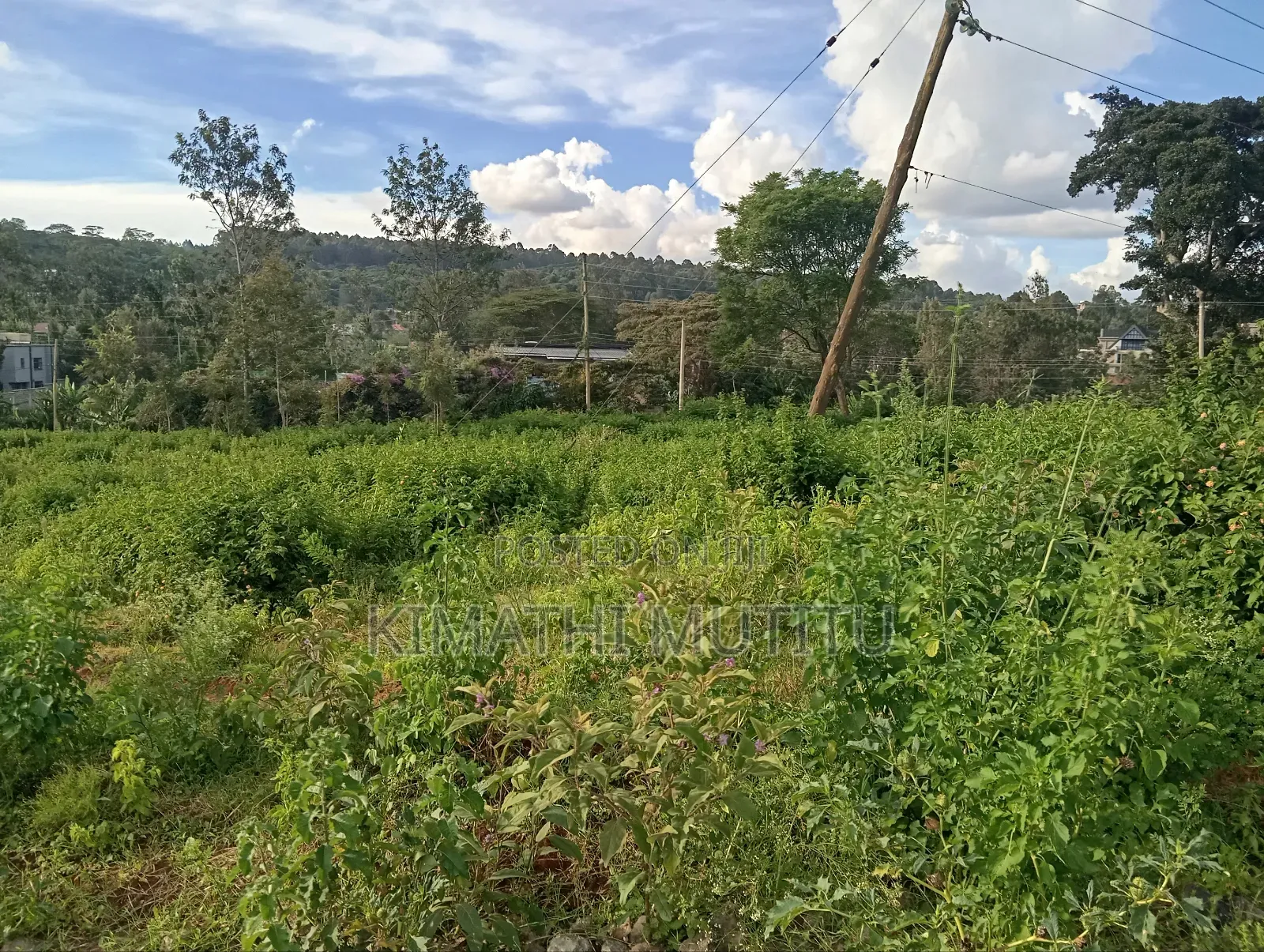 A Very Prime Residential 1/2 at Karen Rhino Park.