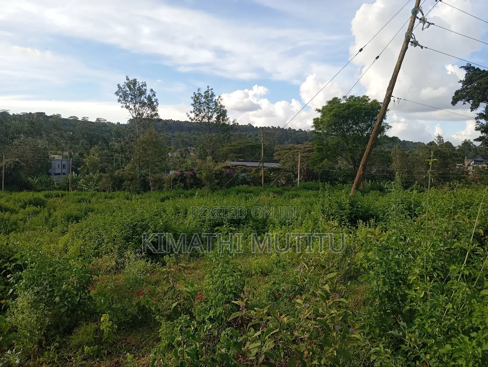 A Very Prime Residential 1/2 at Karen Rhino Park.
