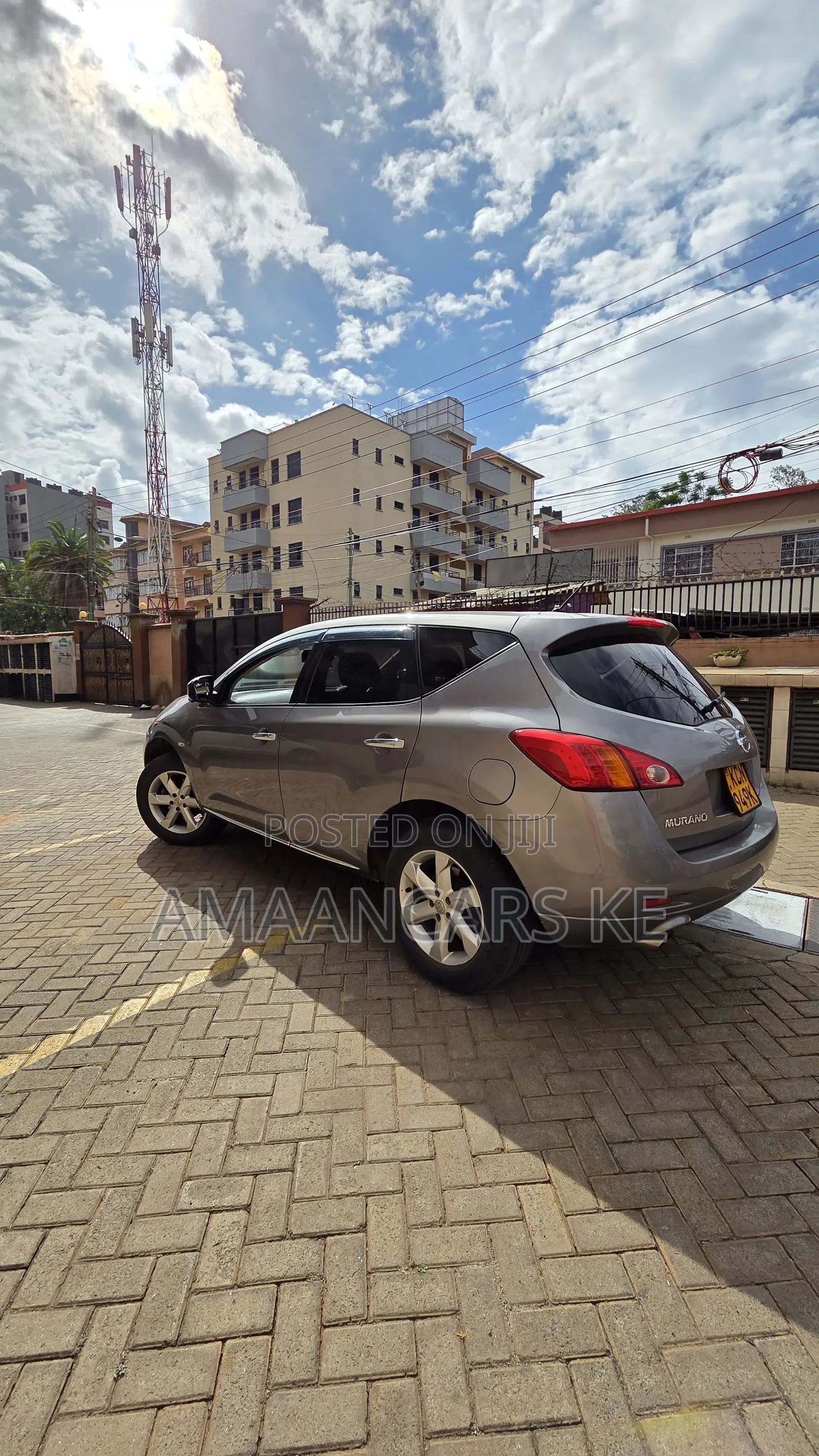 Nissan Murano 2010 Gray