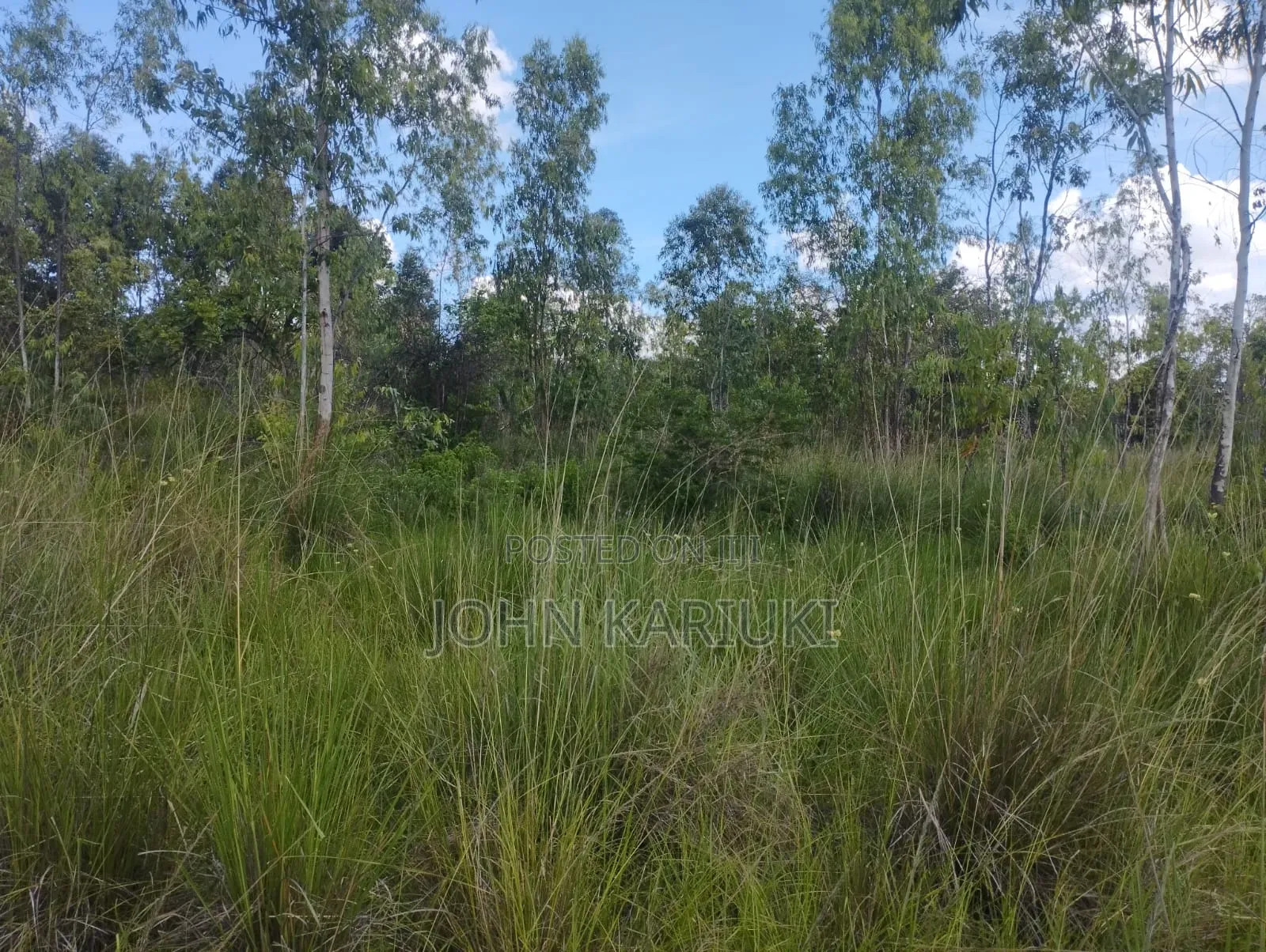 600 Acres of Land in Makuyu/Sagana Dual Carriageway 3km From Makuyu