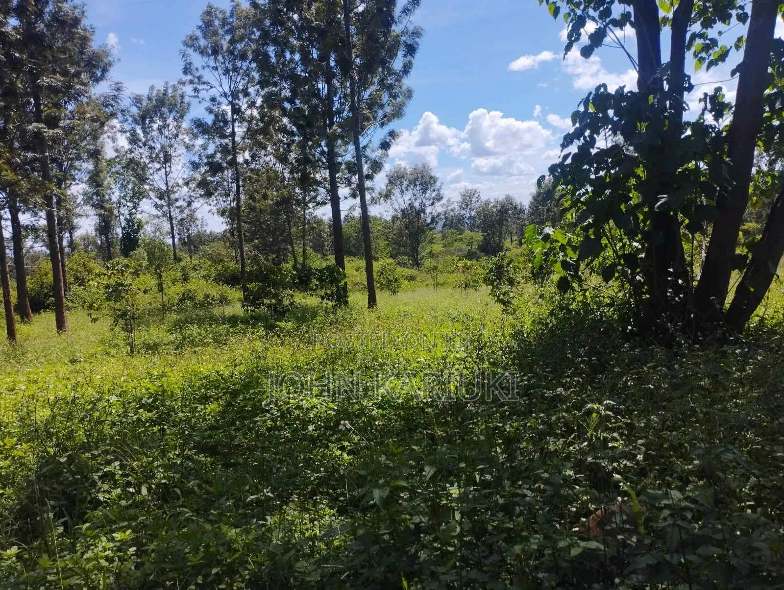 600 Acres of Land in Makuyu/Sagana Dual Carriageway 3km From Makuyu