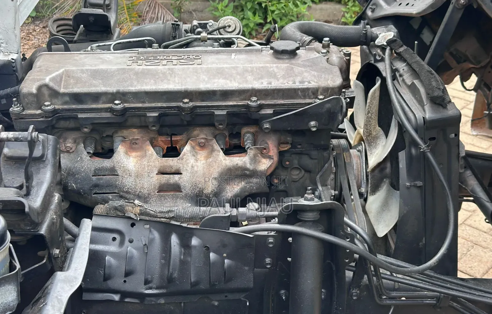 Isuzu Nkr, Locally Assembled