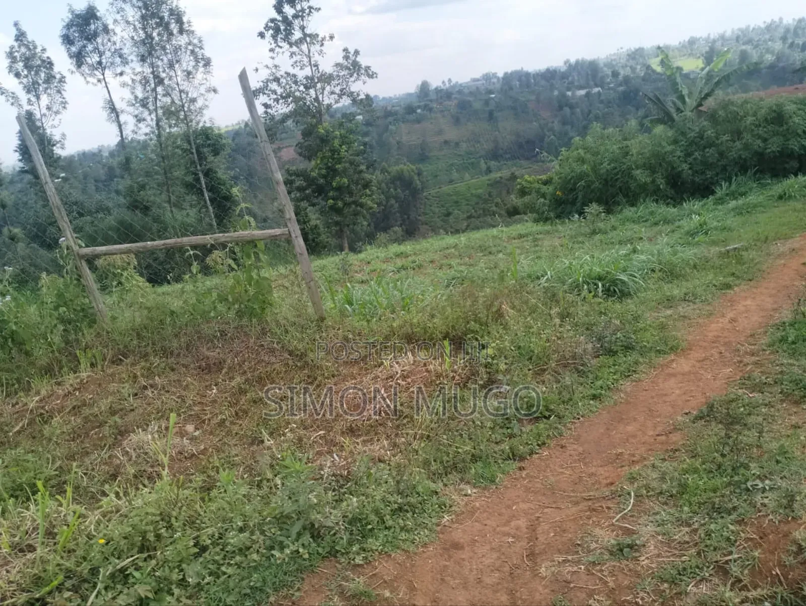 Gatundu South Itura-Mīro Prime 8.5 Acres Tea Farm