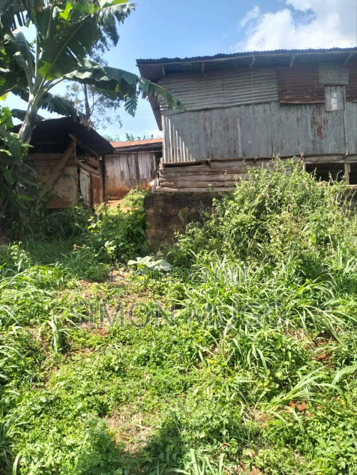 Gatundu South Itura-Mīro Prime 8.5 Acres Tea Farm