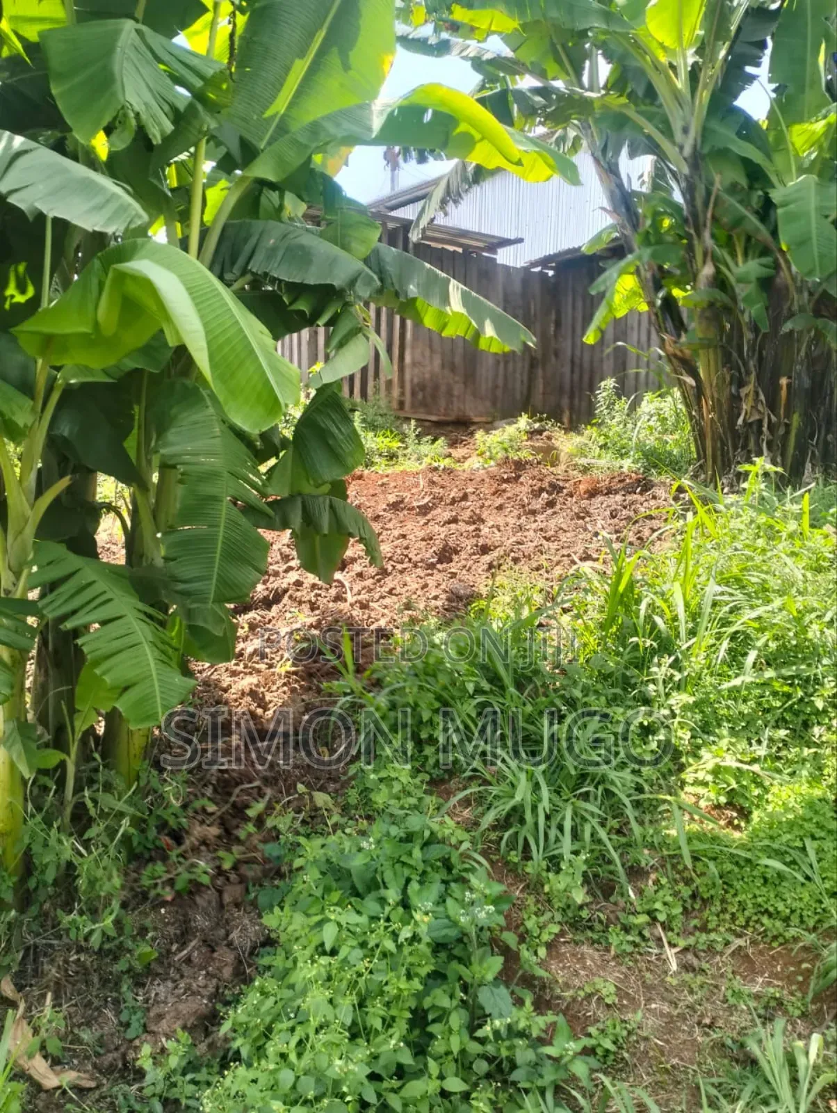 Gatundu South Itura-Mīro Prime 8.5 Acres Tea Farm