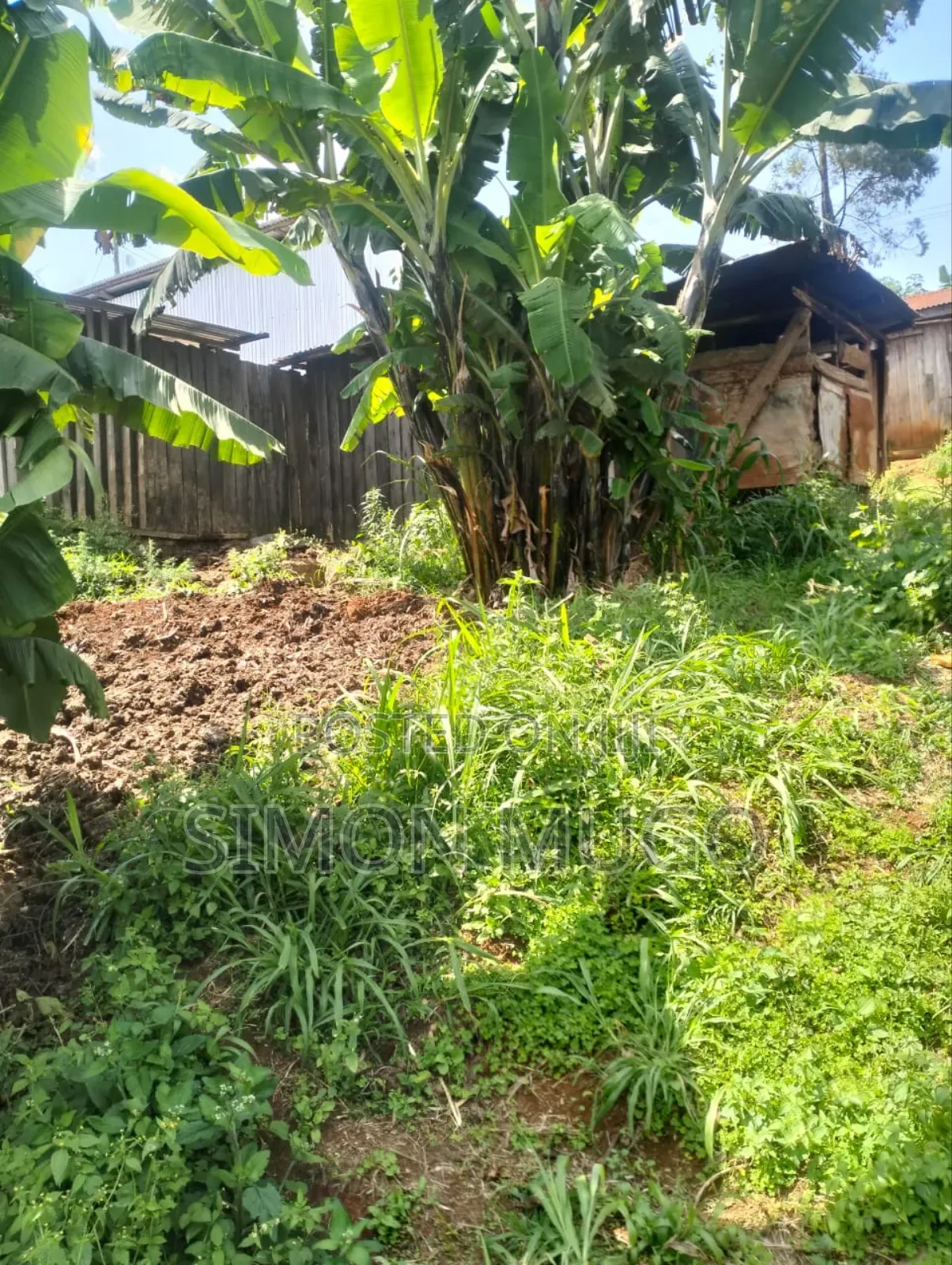 Gatundu South Itura-Mīro Prime 8.5 Acres Tea Farm