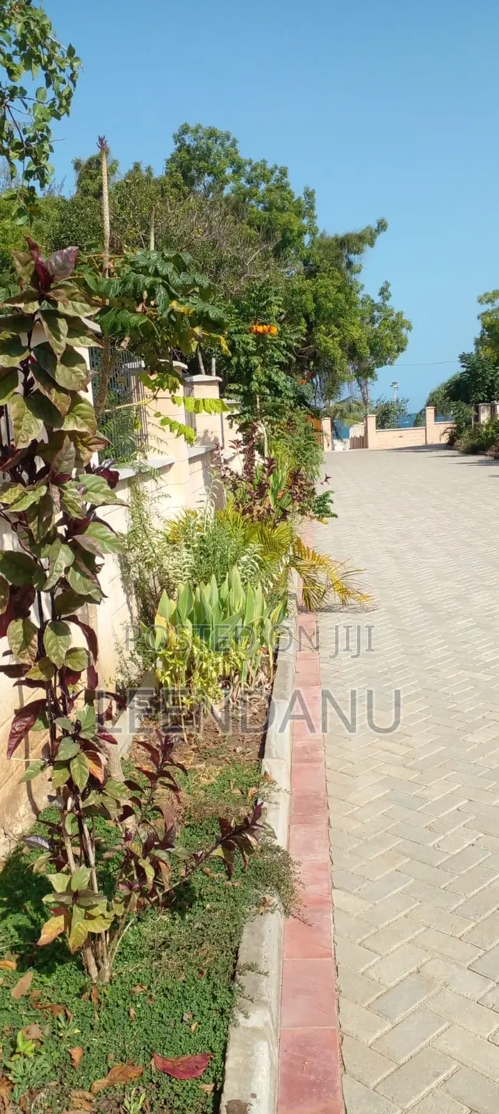 Beach One 1/2 Acre Plot
