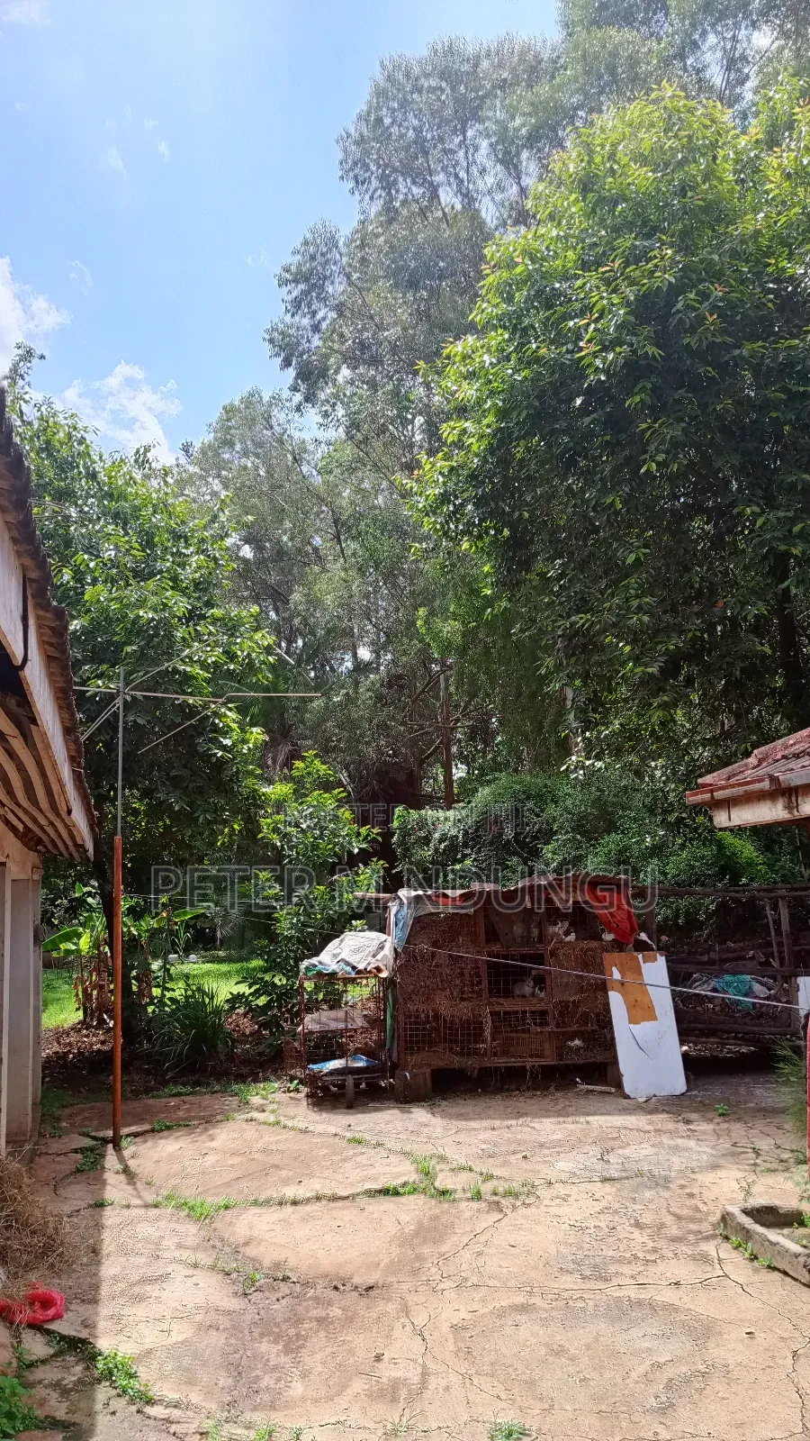 Garden Estate - 1/2 Acre , Prime Location