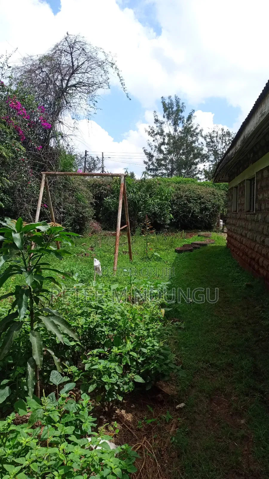 Garden Estate - 1/2 Acre , Prime Location