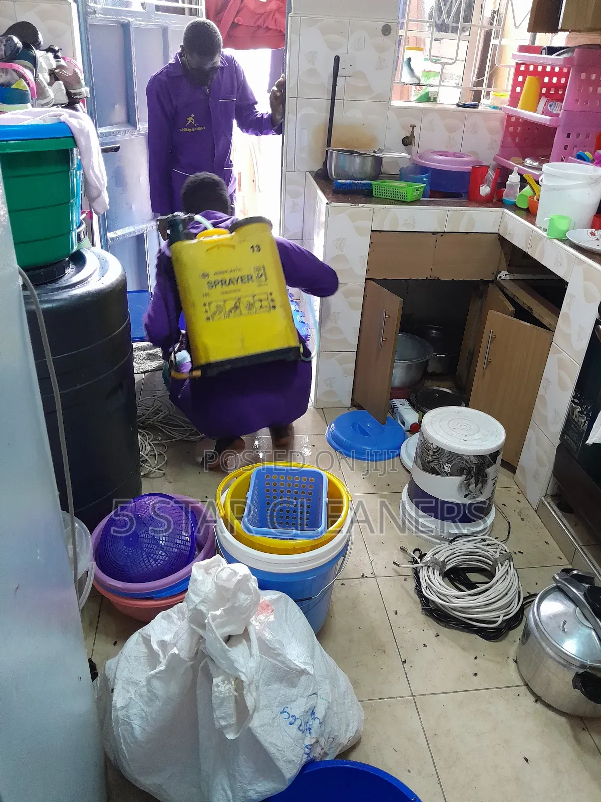 Fumigation Services Available Now