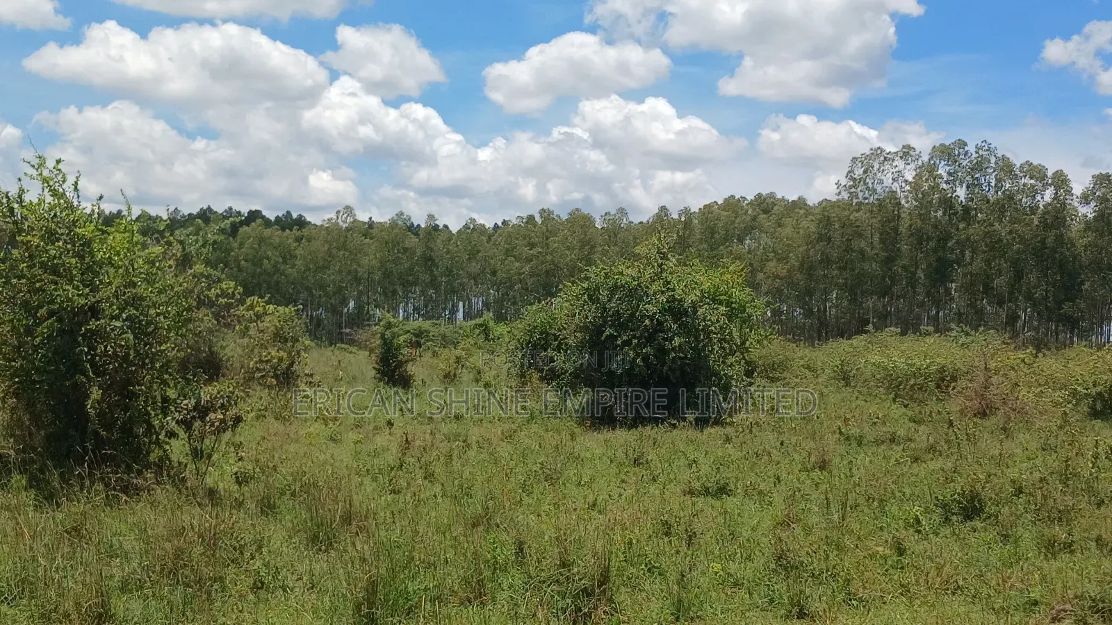 40 Acres Prime Land for Sale in Ongata Rongai