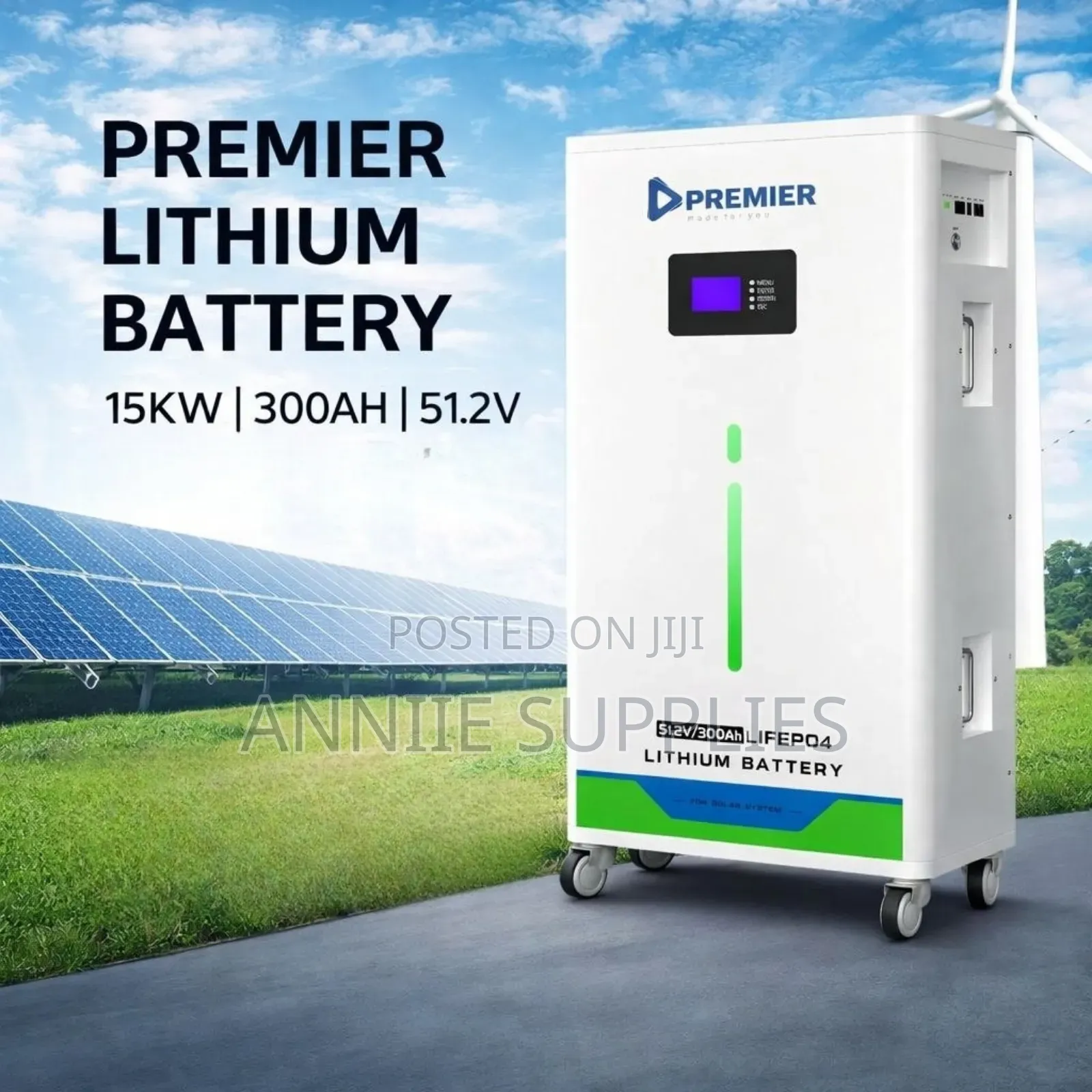 300ah 15kwh Lithium Battery (51.2v)