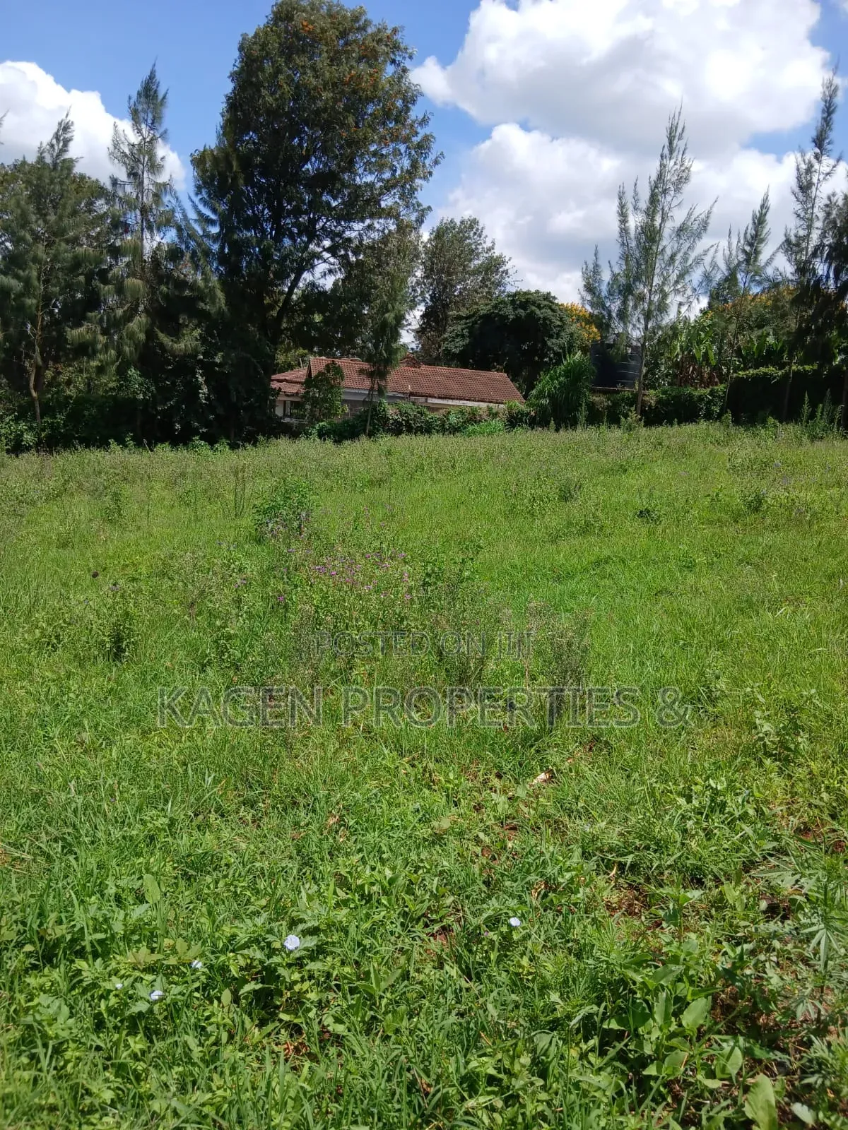 1/4 Acre Plot in Kerarapon for Sale