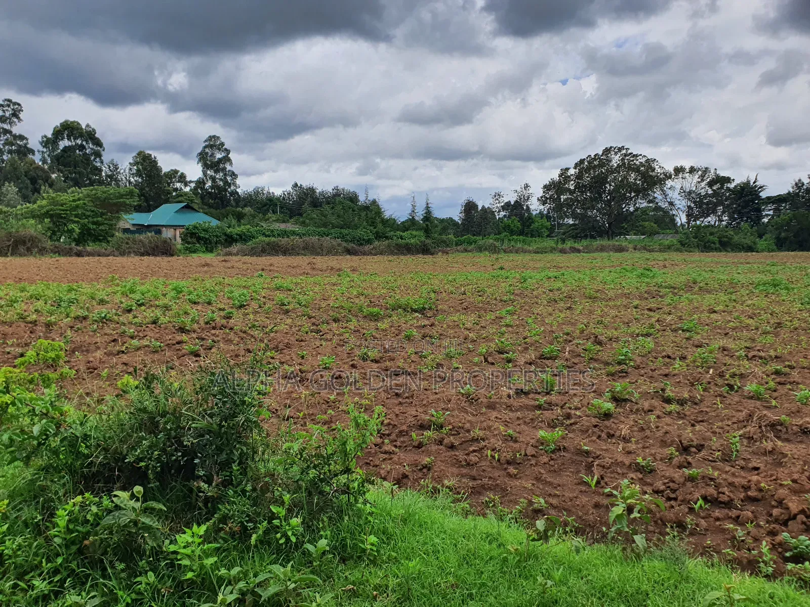 Nanyuki 1 Acre