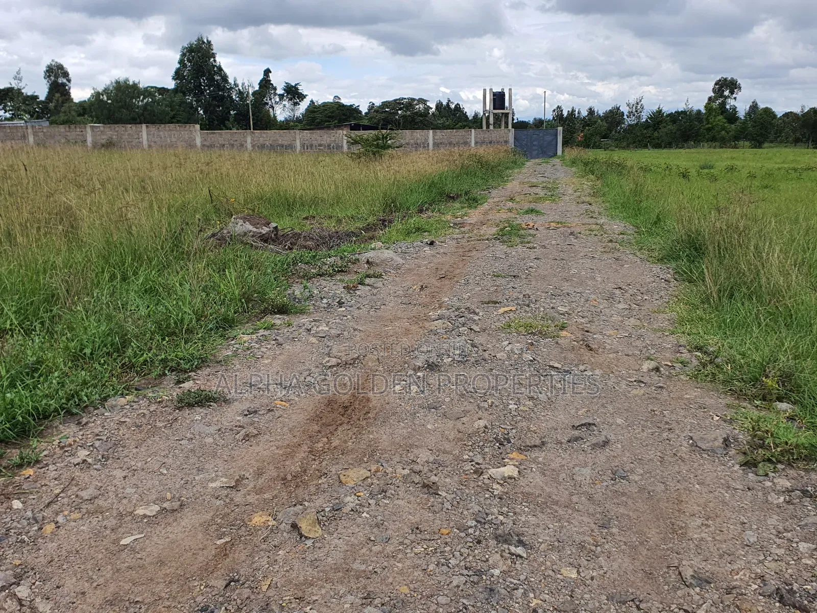 Half Acre in Nanyuki