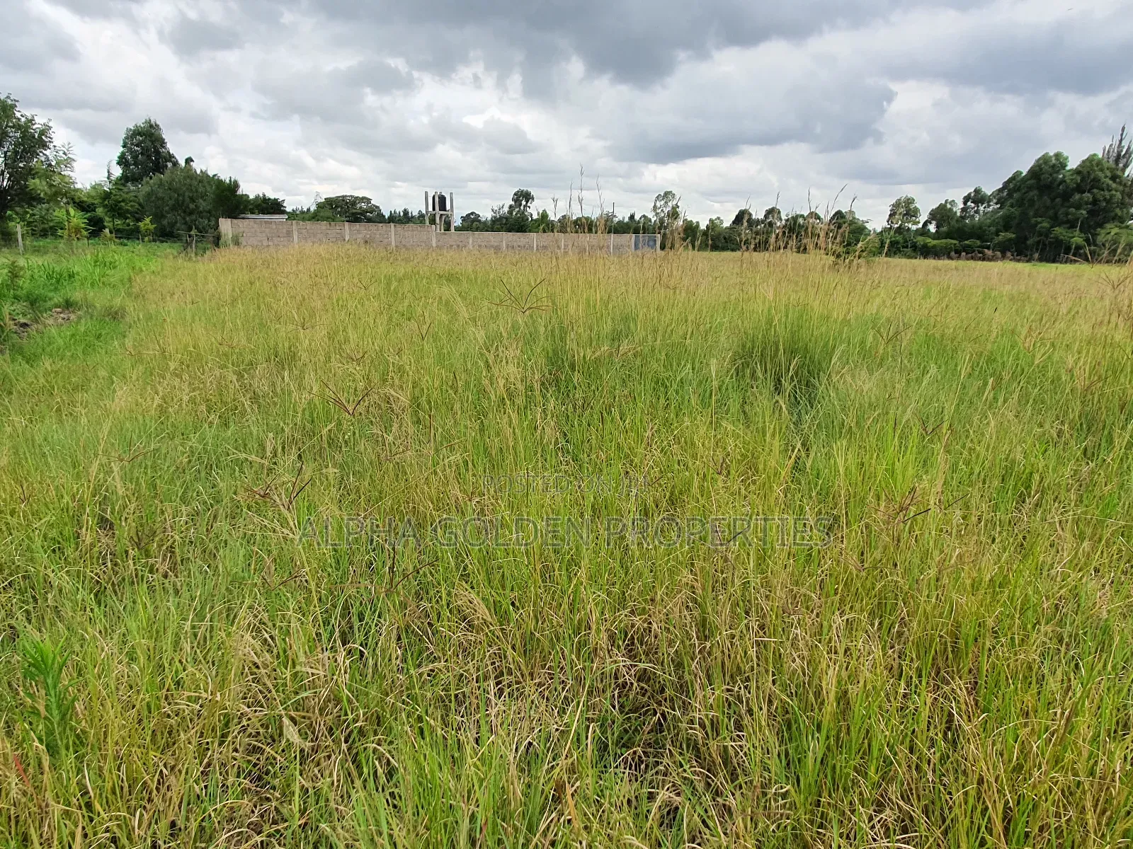 Half Acre in Nanyuki
