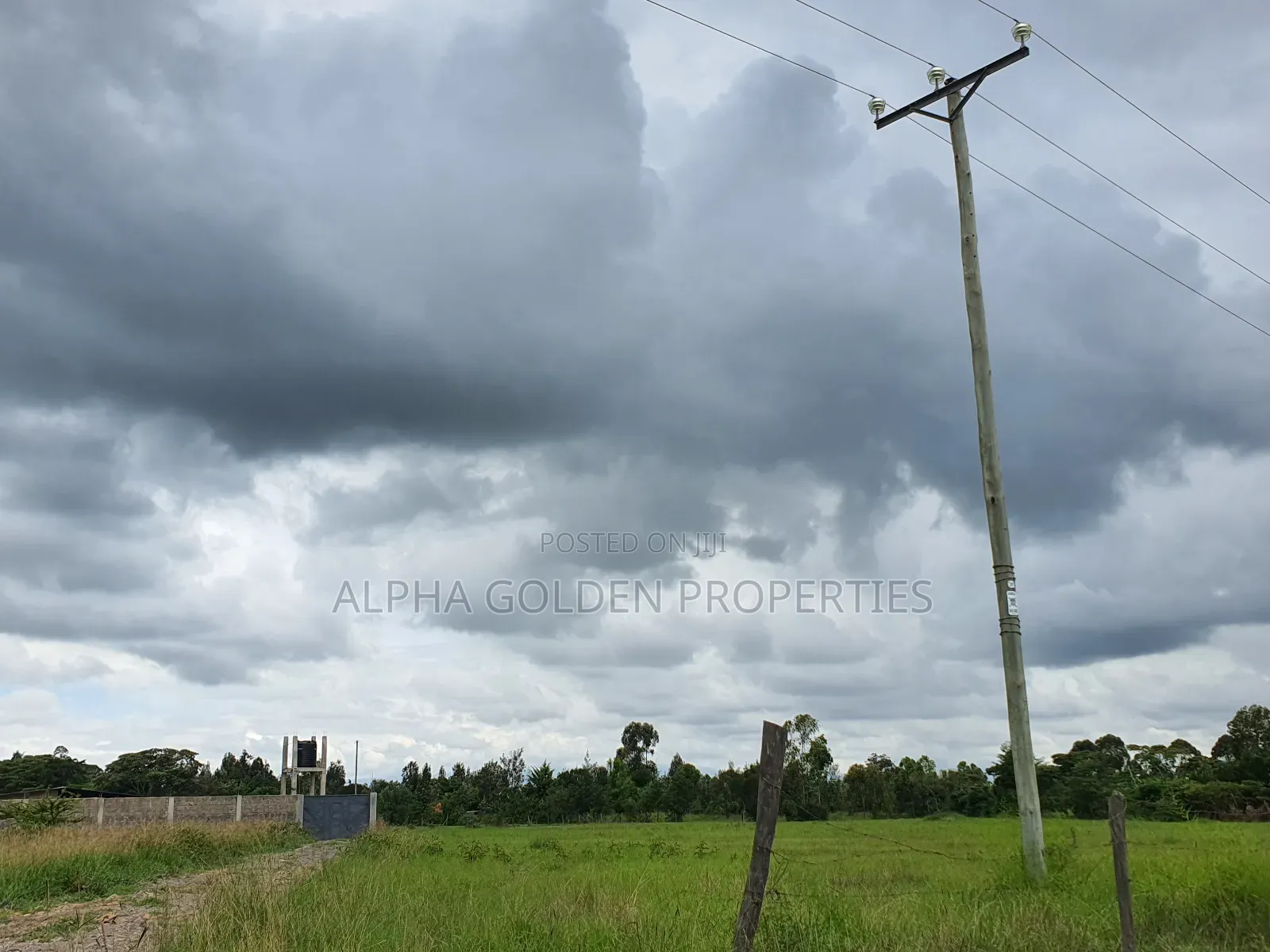 Half Acre in Nanyuki