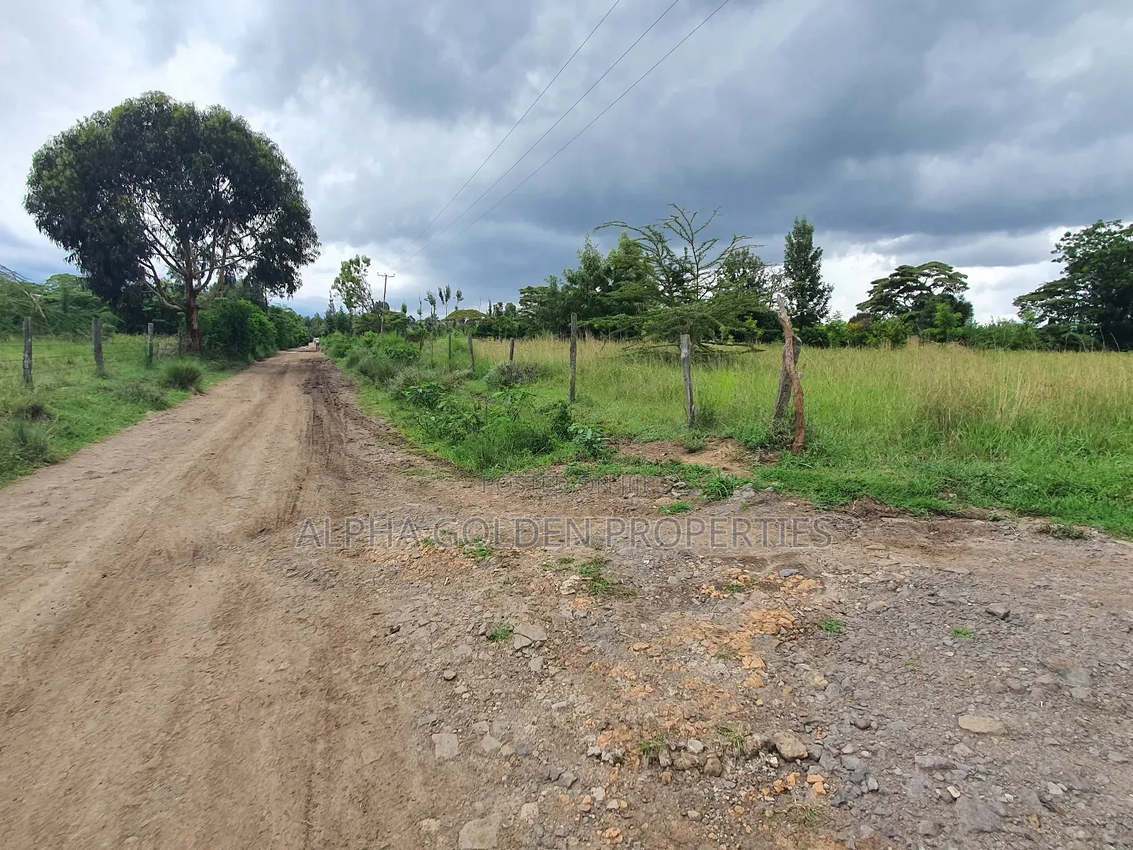 Half Acre in Nanyuki