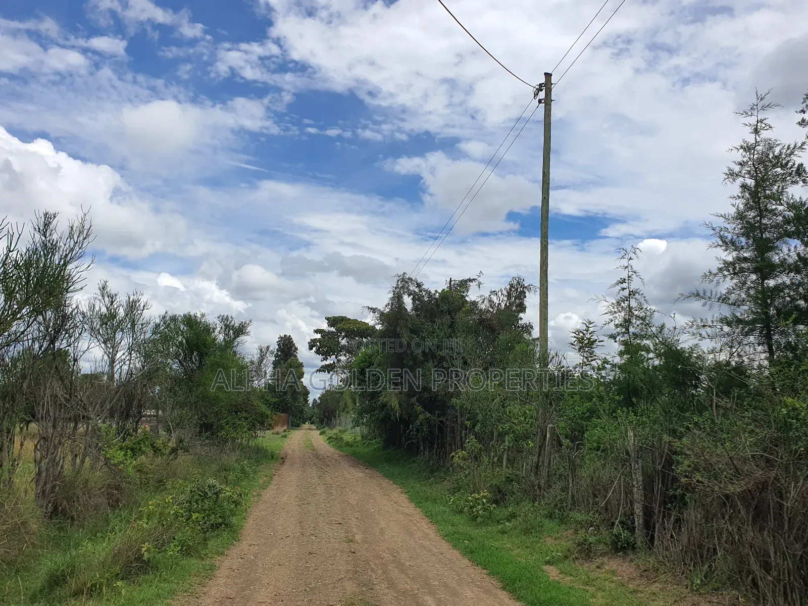 2 Acres in Sweetwaters [ Nanyuki ]